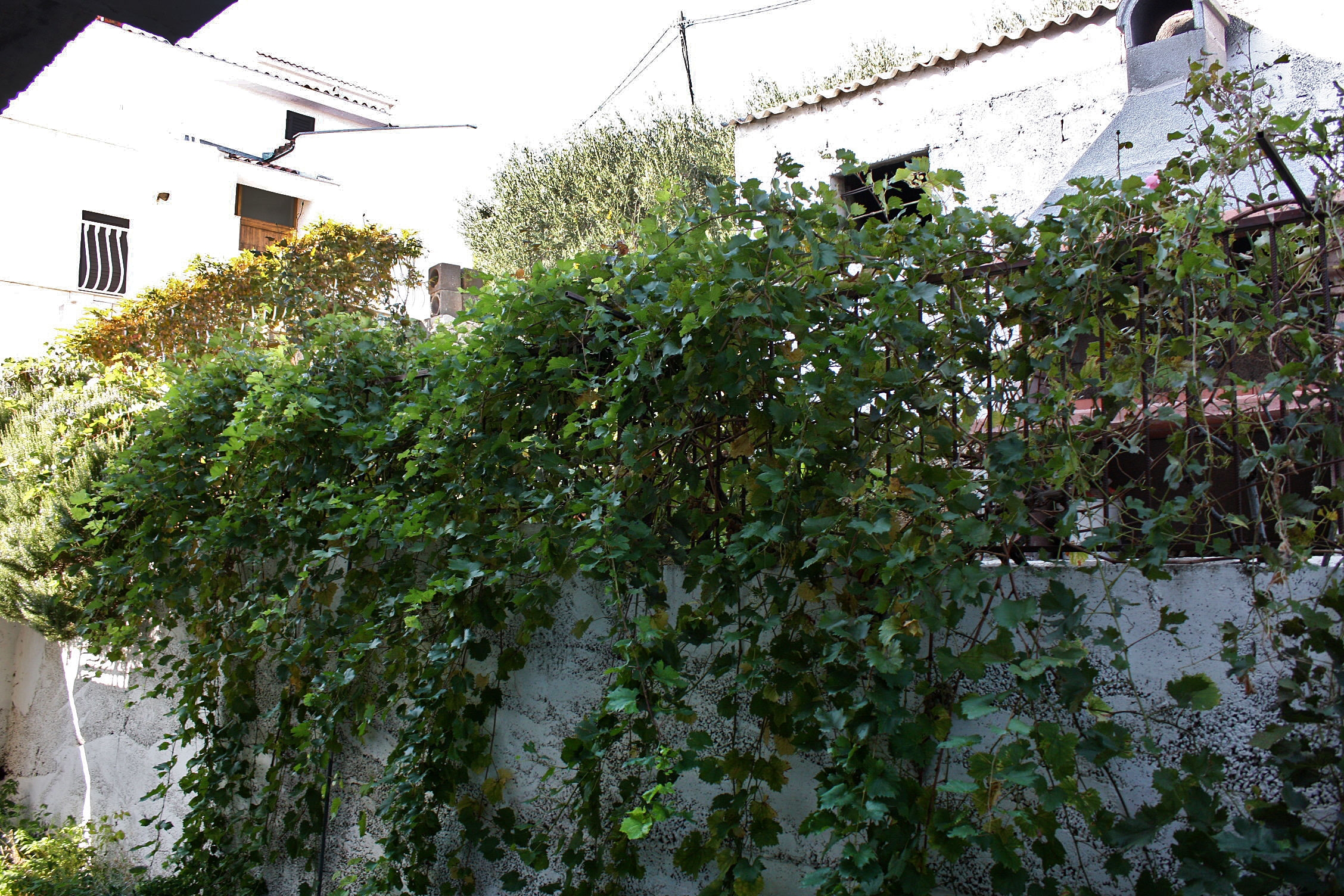 One bedroom apartment with balcony and sea view Pisak, Omiš  A-d