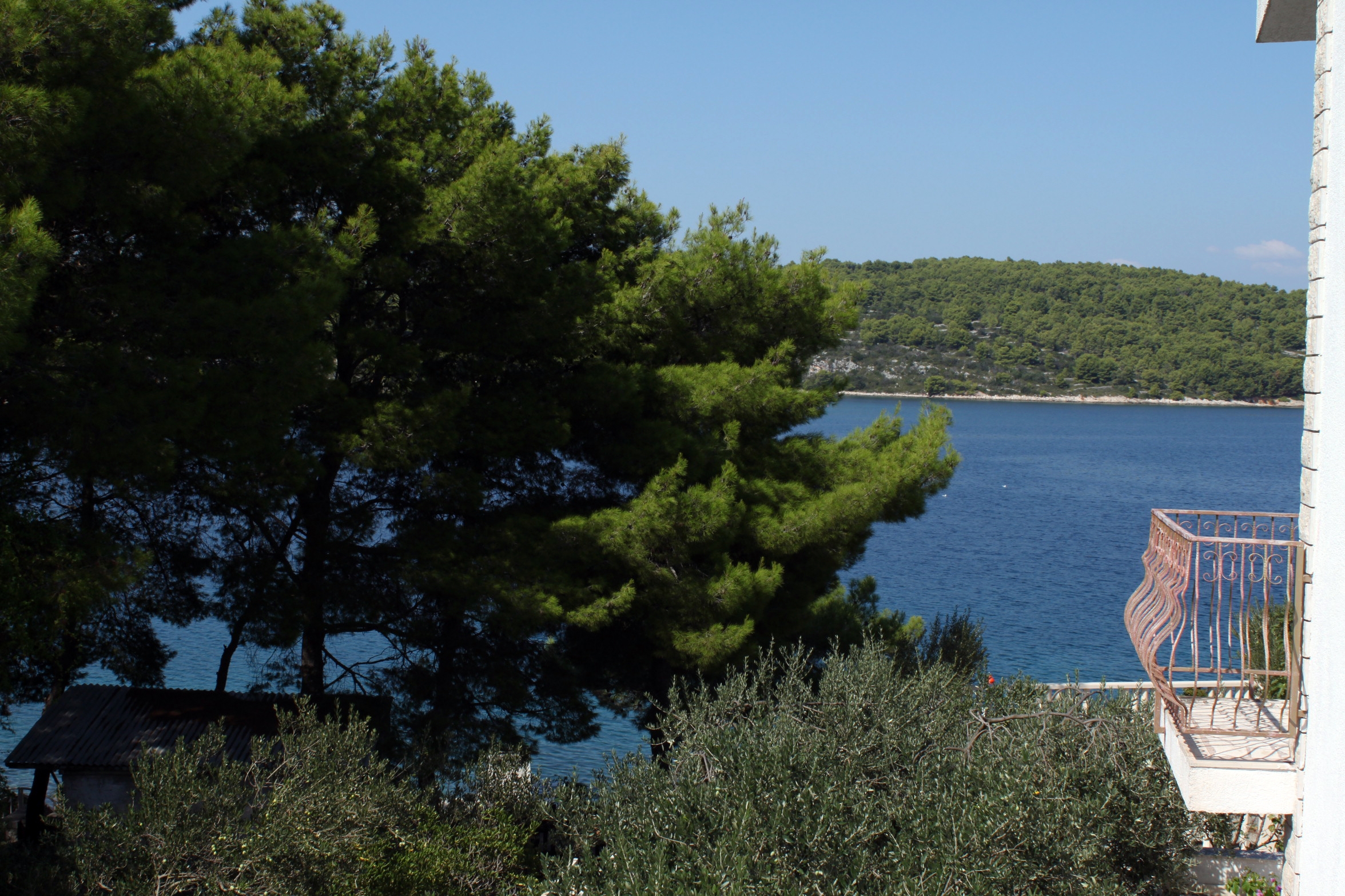 One bedroom apartment near beach Nečujam, Šolta  A-a