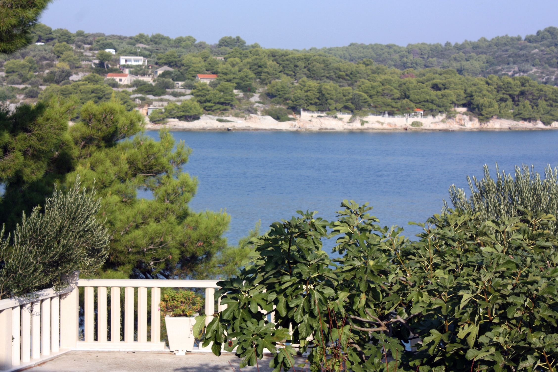One bedroom apartment near beach Nečujam, Šolta  A-d