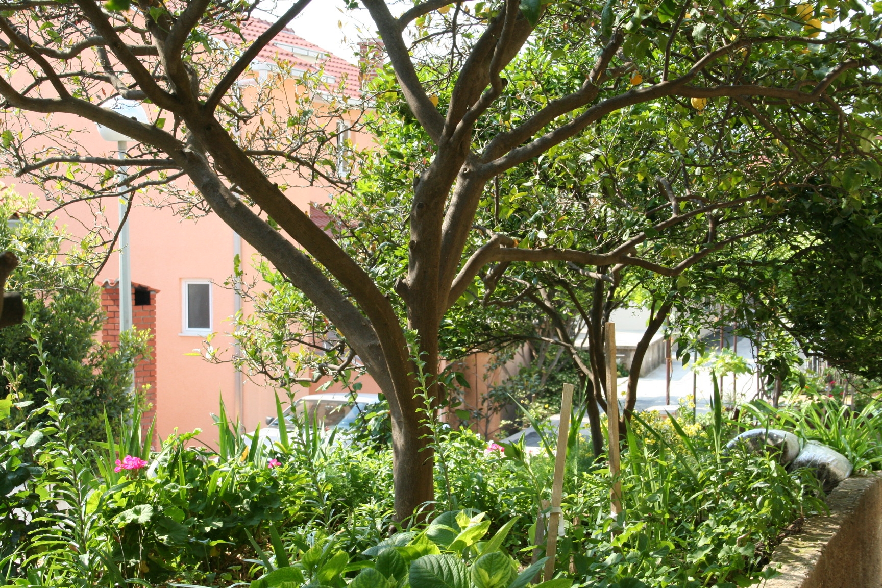 Studio flat with air-conditioning Podgora, Makarska  AS-a