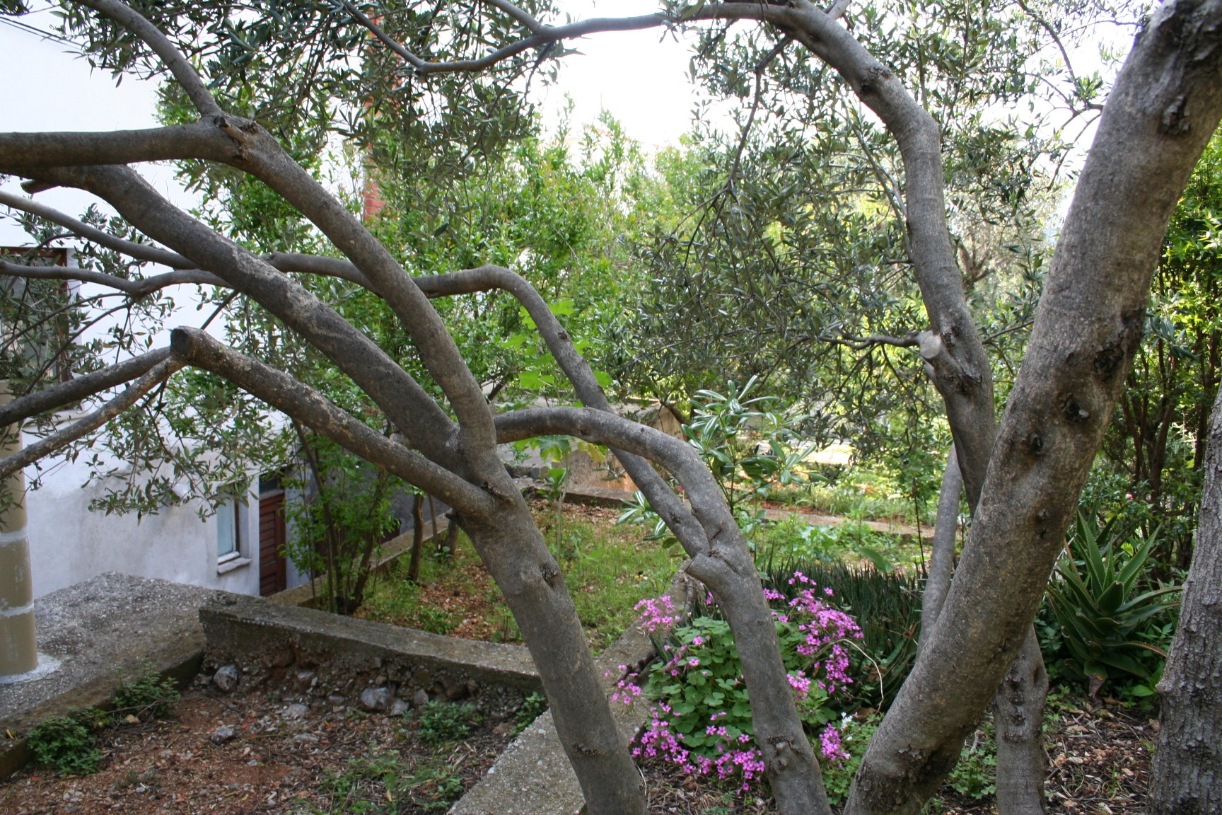 Studio flat with air-conditioning Podgora, Makarska  AS-a