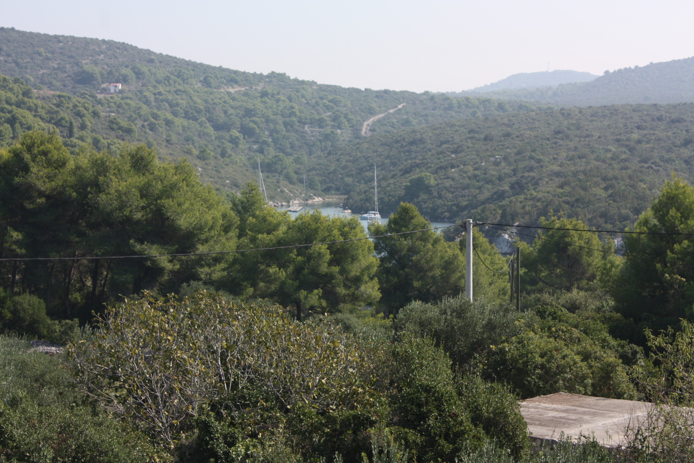 One bedroom apartment with balcony Maslinica, Šolta  A-b