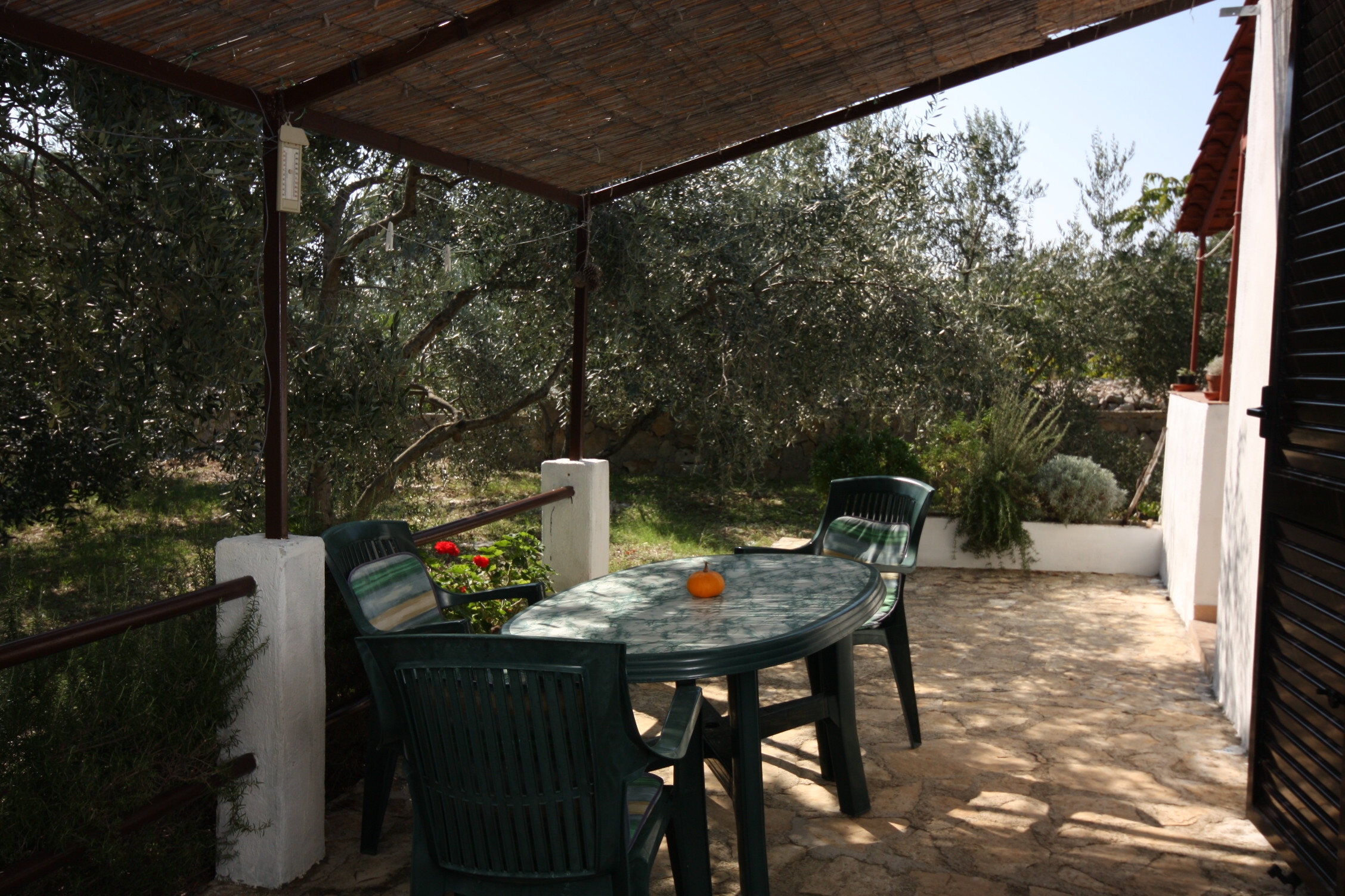 Studio flat with terrace Maslinica, Šolta (AS-5184-a) Studio flat with terrace Maslinica, Šolta (AS-5184-a)