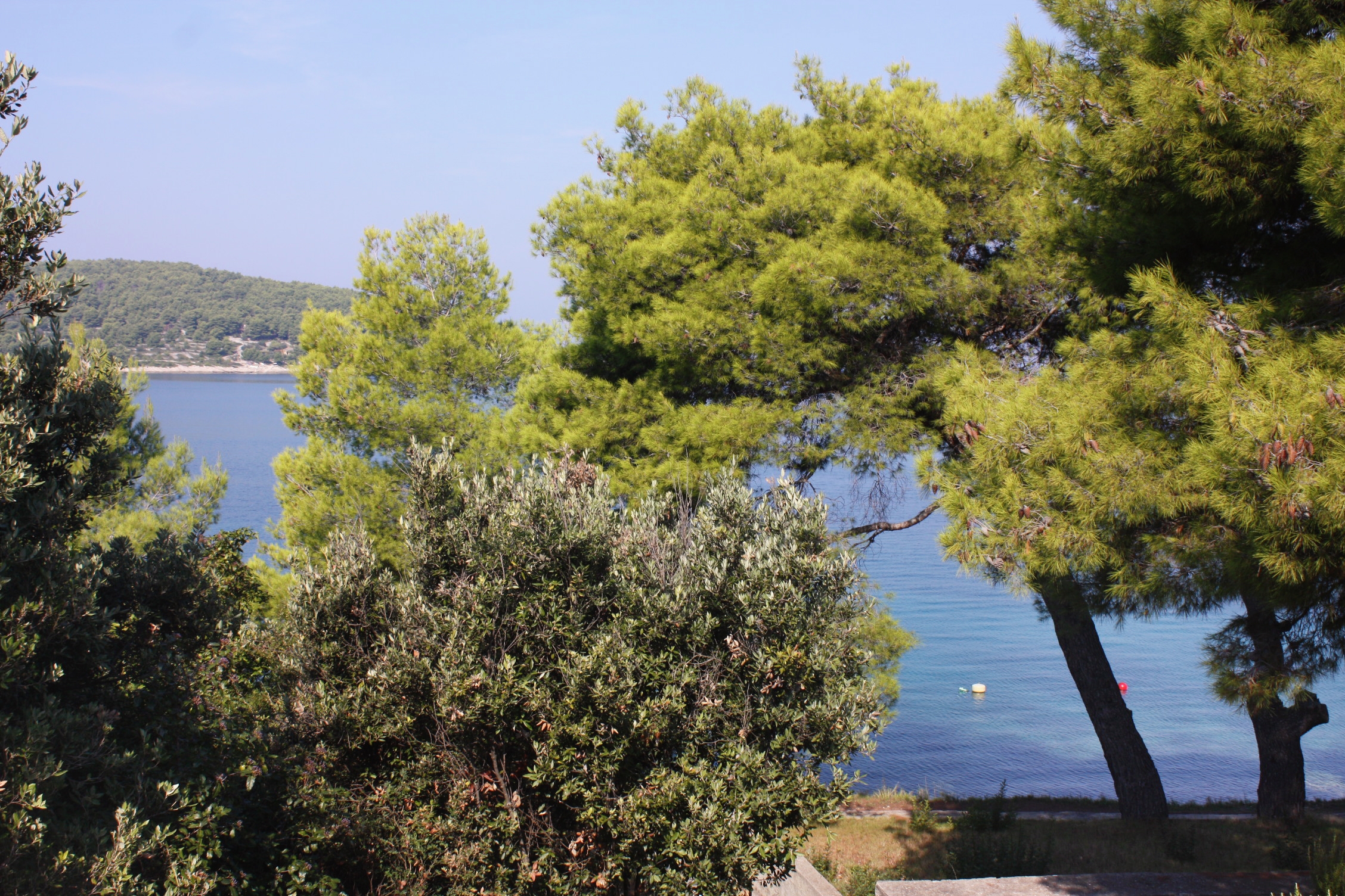 Three bedroom apartment near beach Nečujam, Šolta  A-a