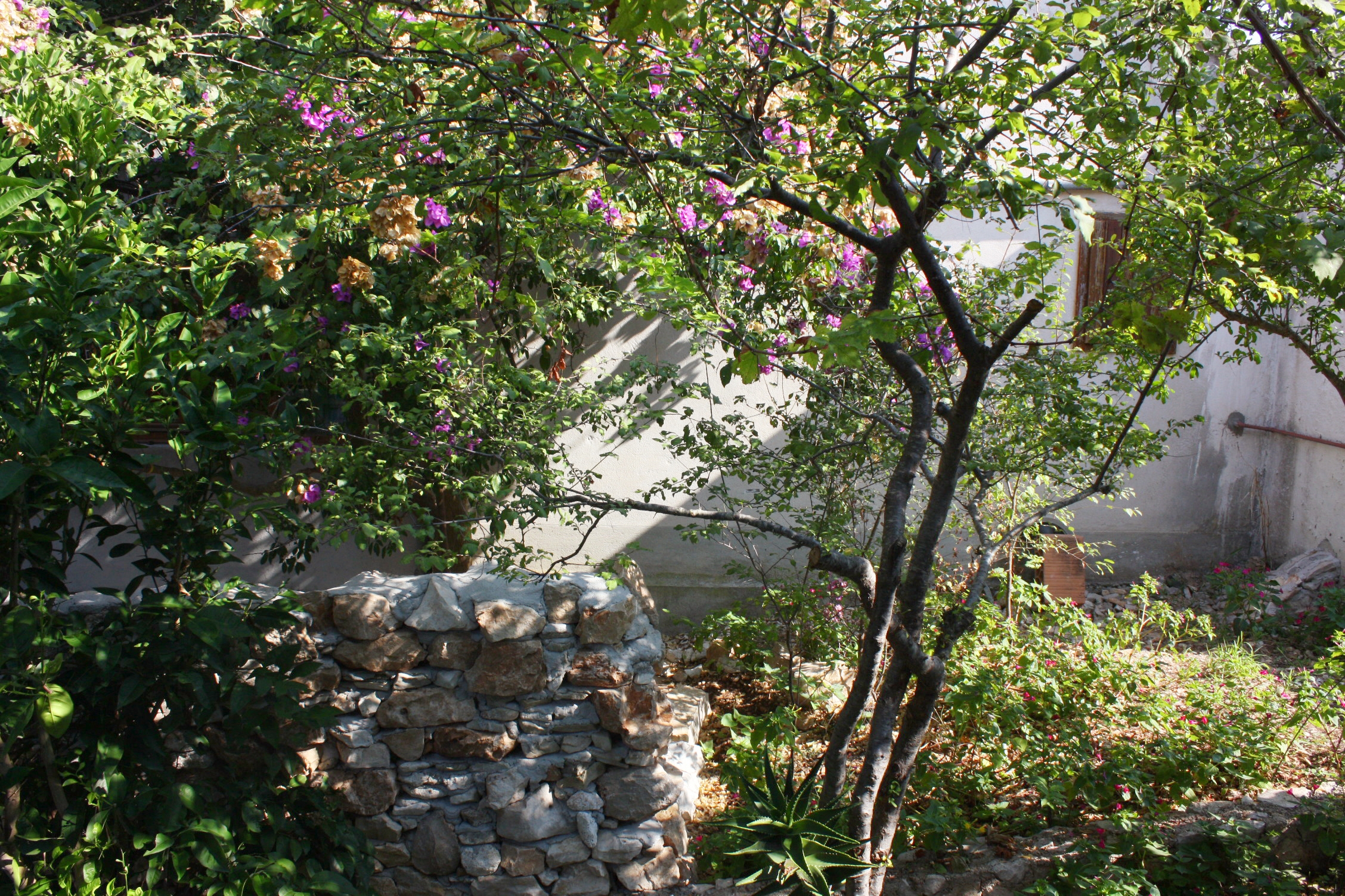 Three bedroom apartment near beach Nečujam, Šolta  A-a