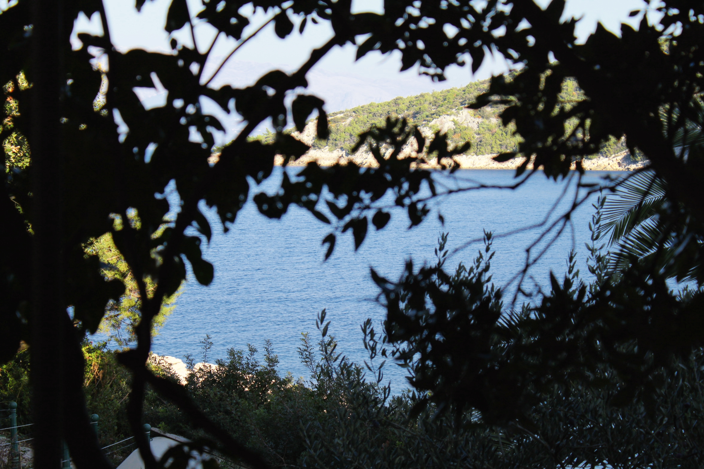 Three bedroom apartment near beach Cove Pokrivenik, Hvar  A-b