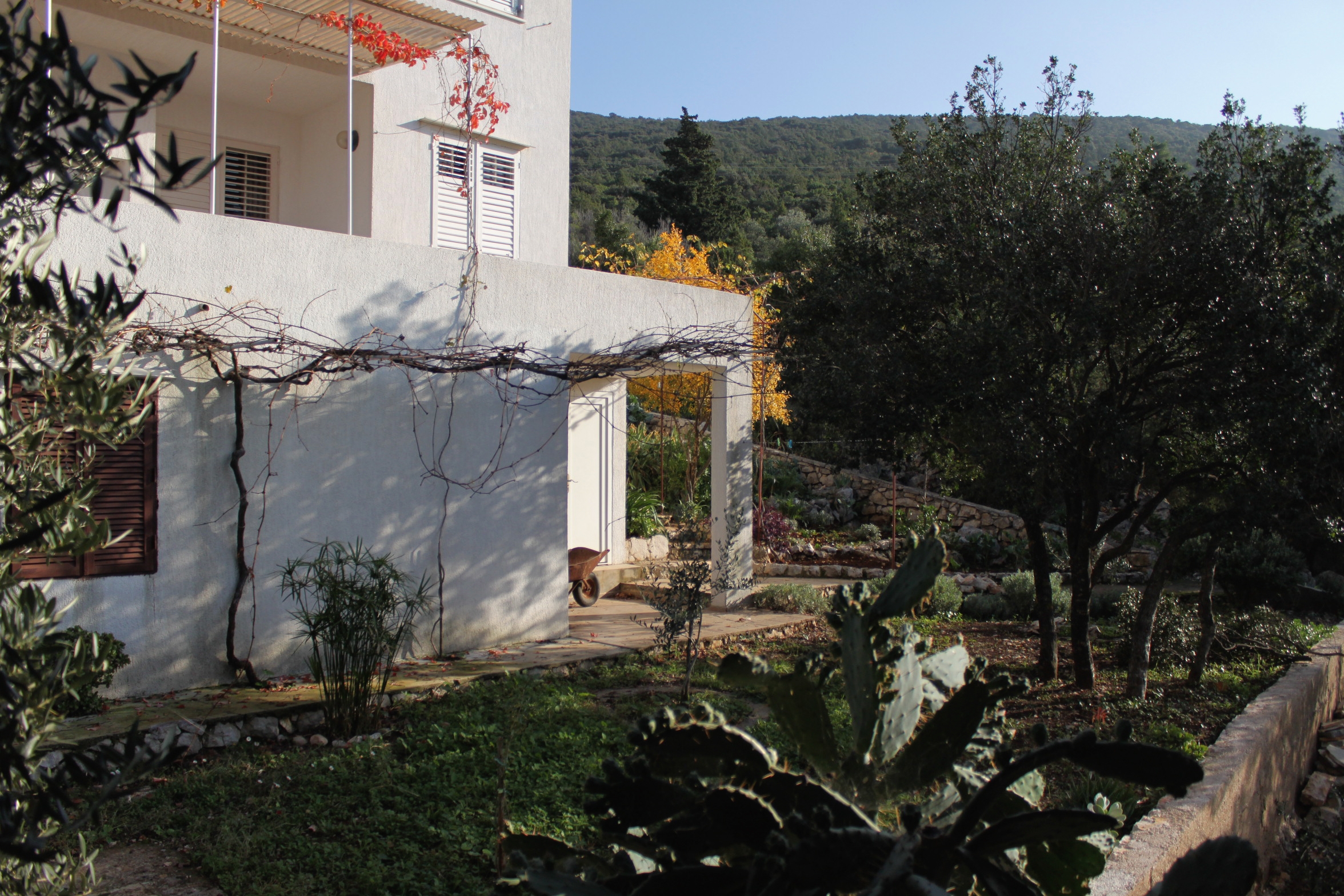 Top Hvar Pokrivenik Top Hvar Pokrivenik