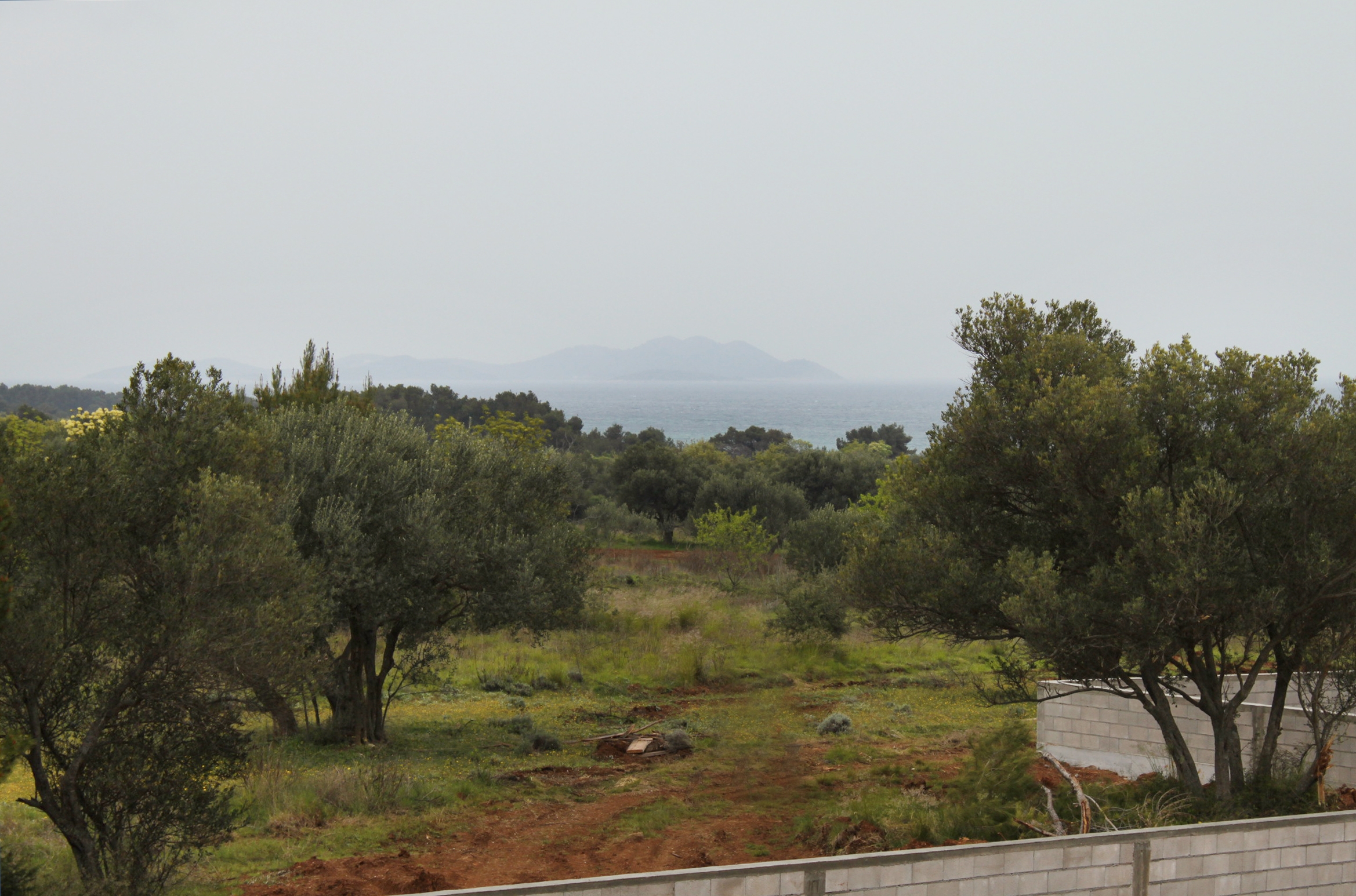 Top Biograd Biograd na Moru Top Biograd Biograd na Moru