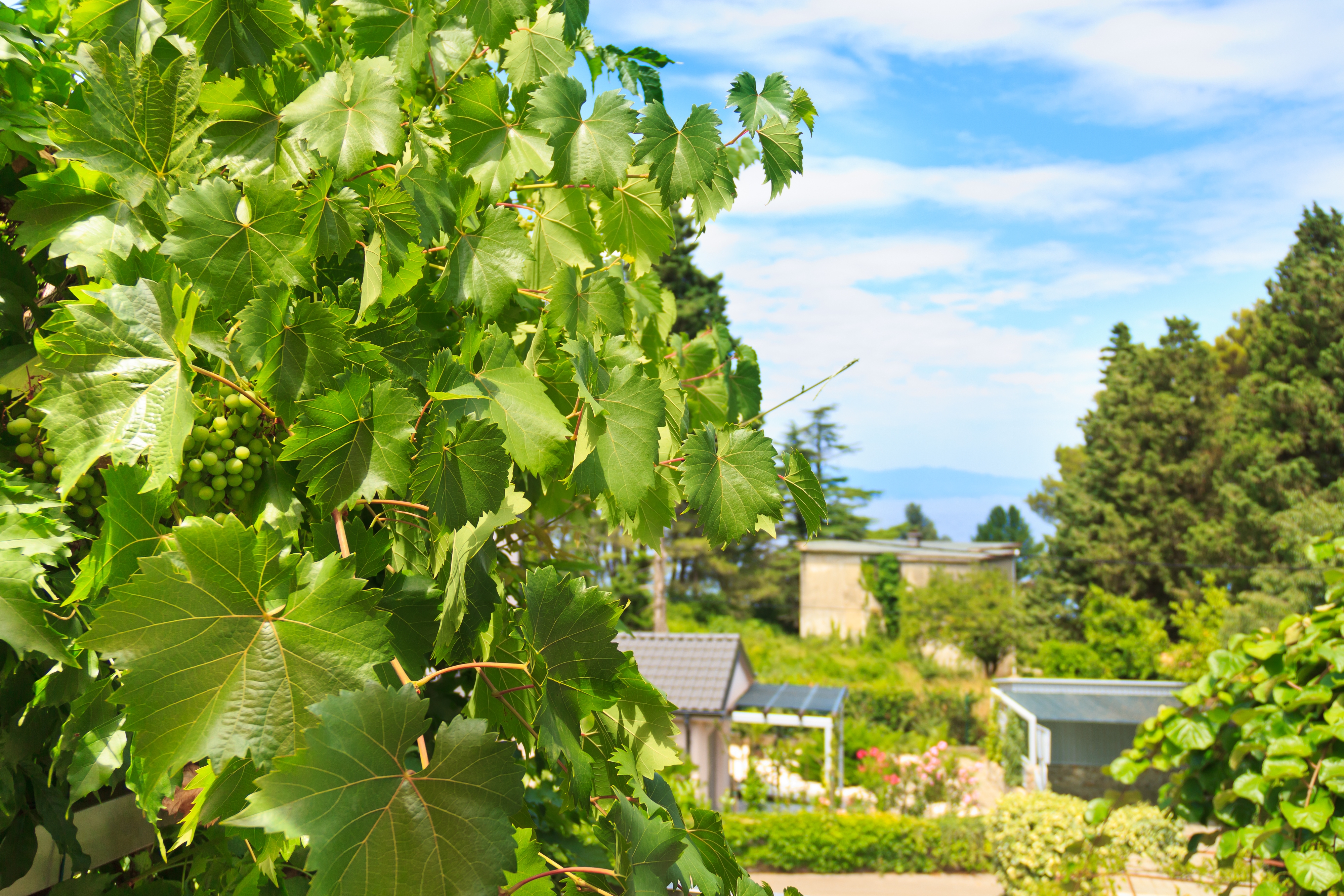 Two bedroom apartment with terrace and sea view Malinska, Krk (A-5290-a)