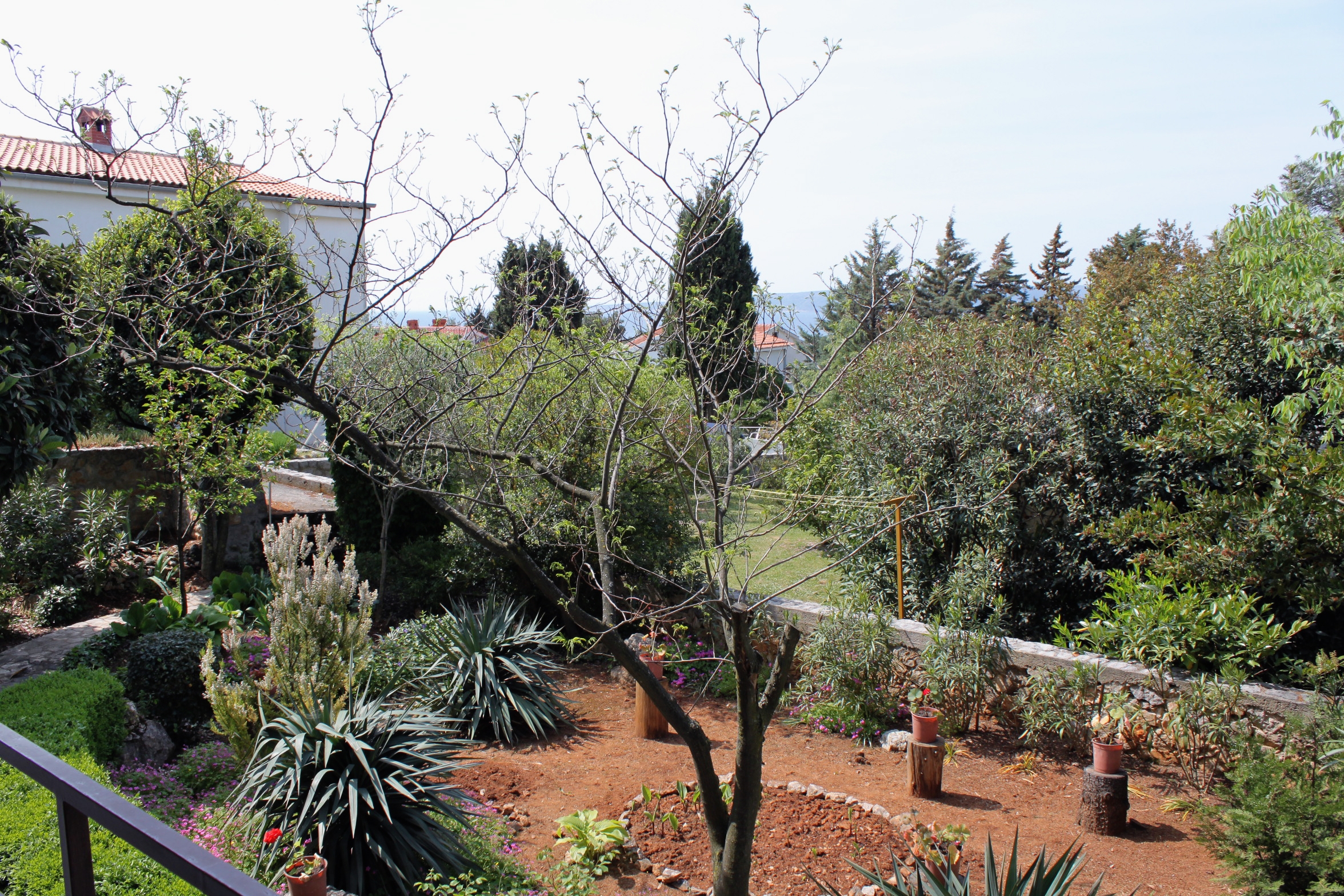 Two bedroom apartment with terrace Krk  A-a