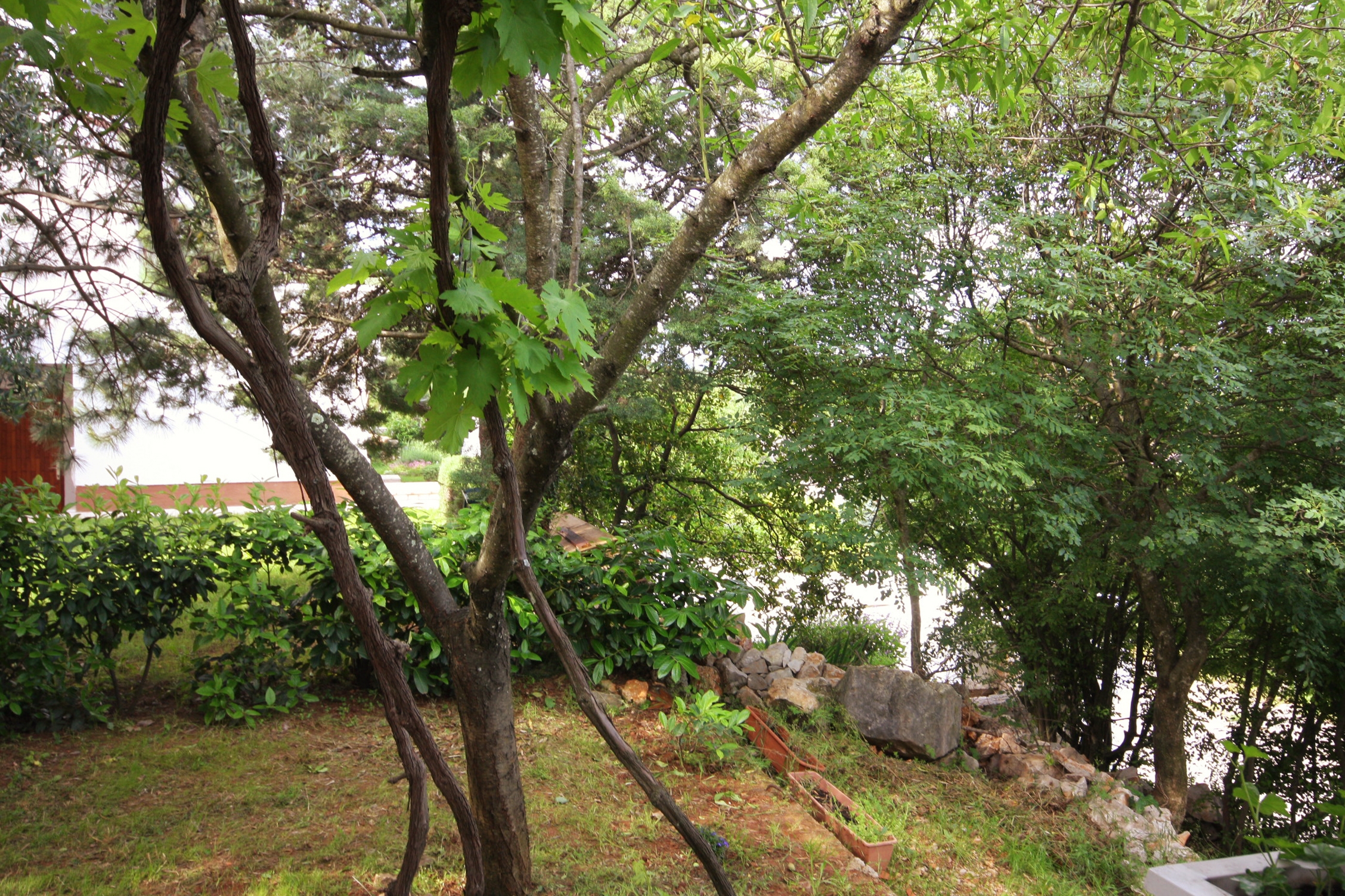 Two bedroom apartment with terrace and sea view Njivice, Krk (A-5362-b)