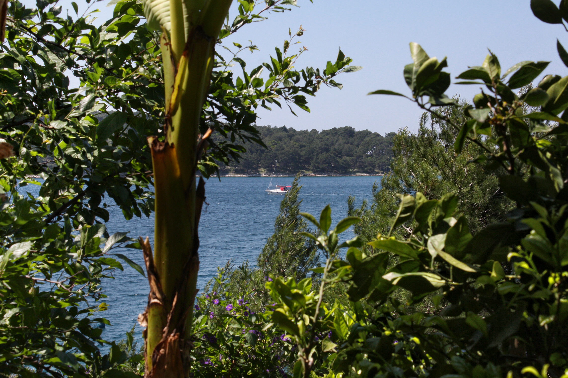Two bedroom apartment near beach Mali Lošinj, Lošinj (A-5391-a)