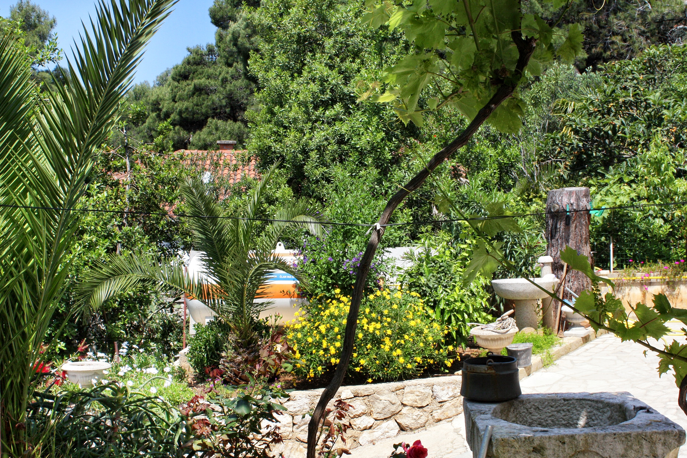 Two bedroom apartment near beach Mali Lošinj, Lošinj (A-5391-a)