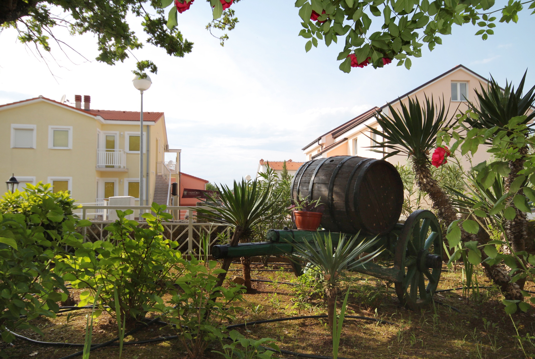 Top Krk Njivice Top Krk Njivice