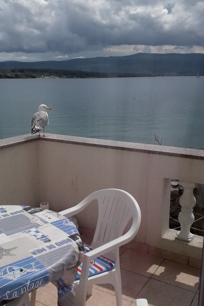 Jednosobni apartman uz plažu Krk  A-a