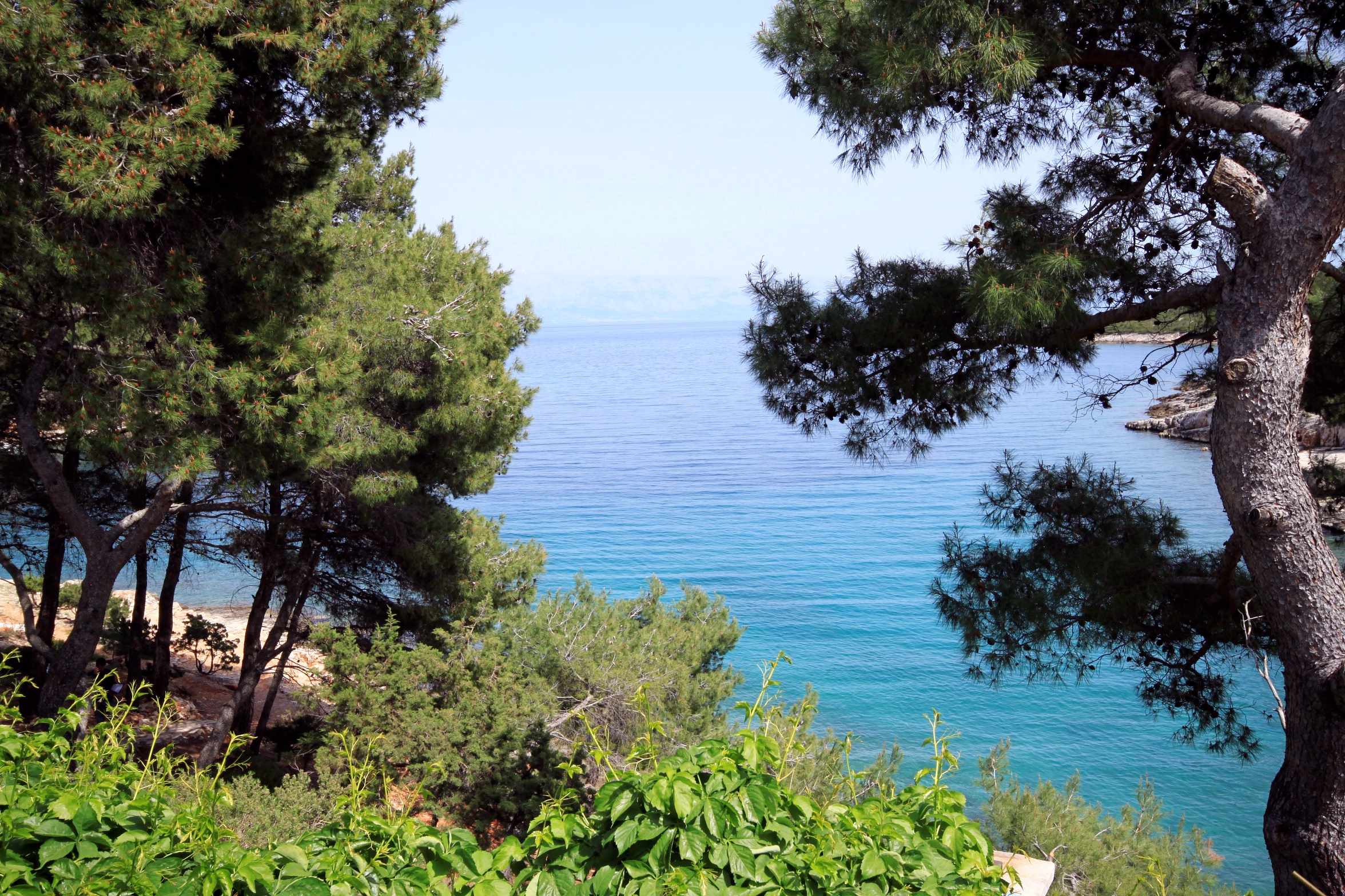 Two bedroom apartment near beach Basina, Hvar  A-a