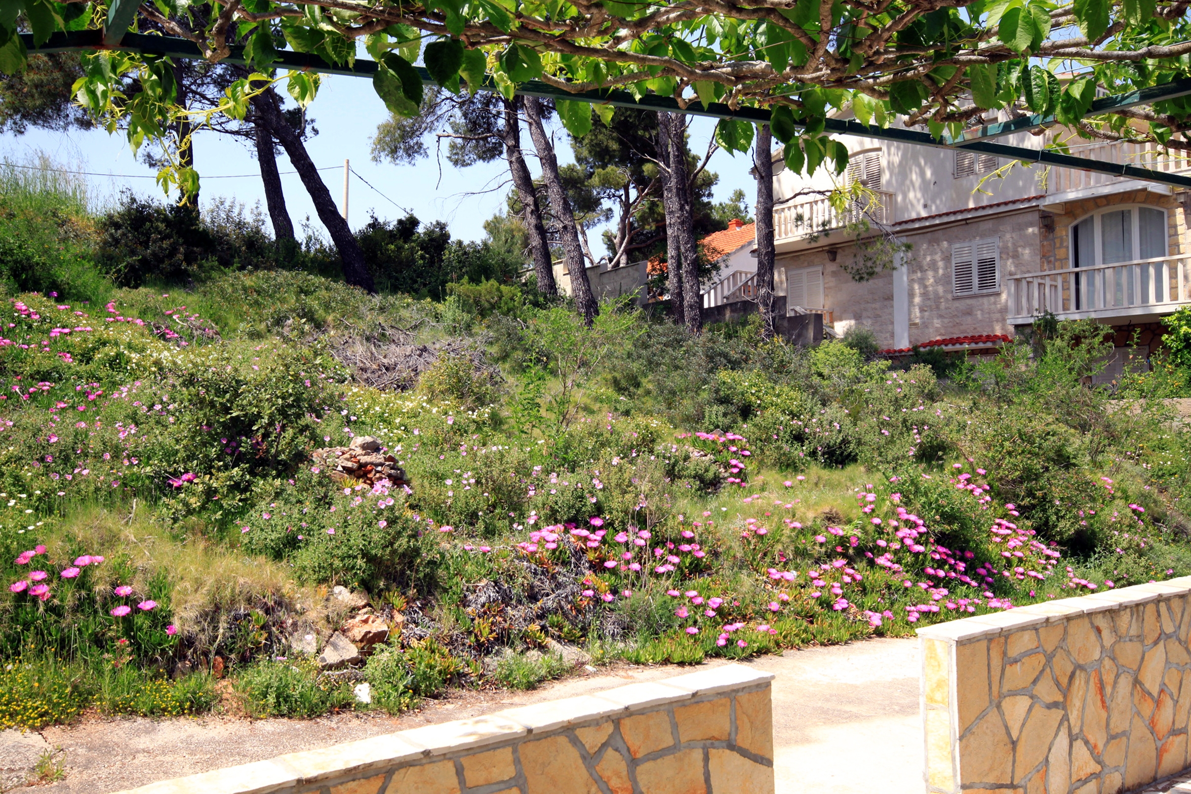 Studio flat near beach Basina, Hvar  AS-a