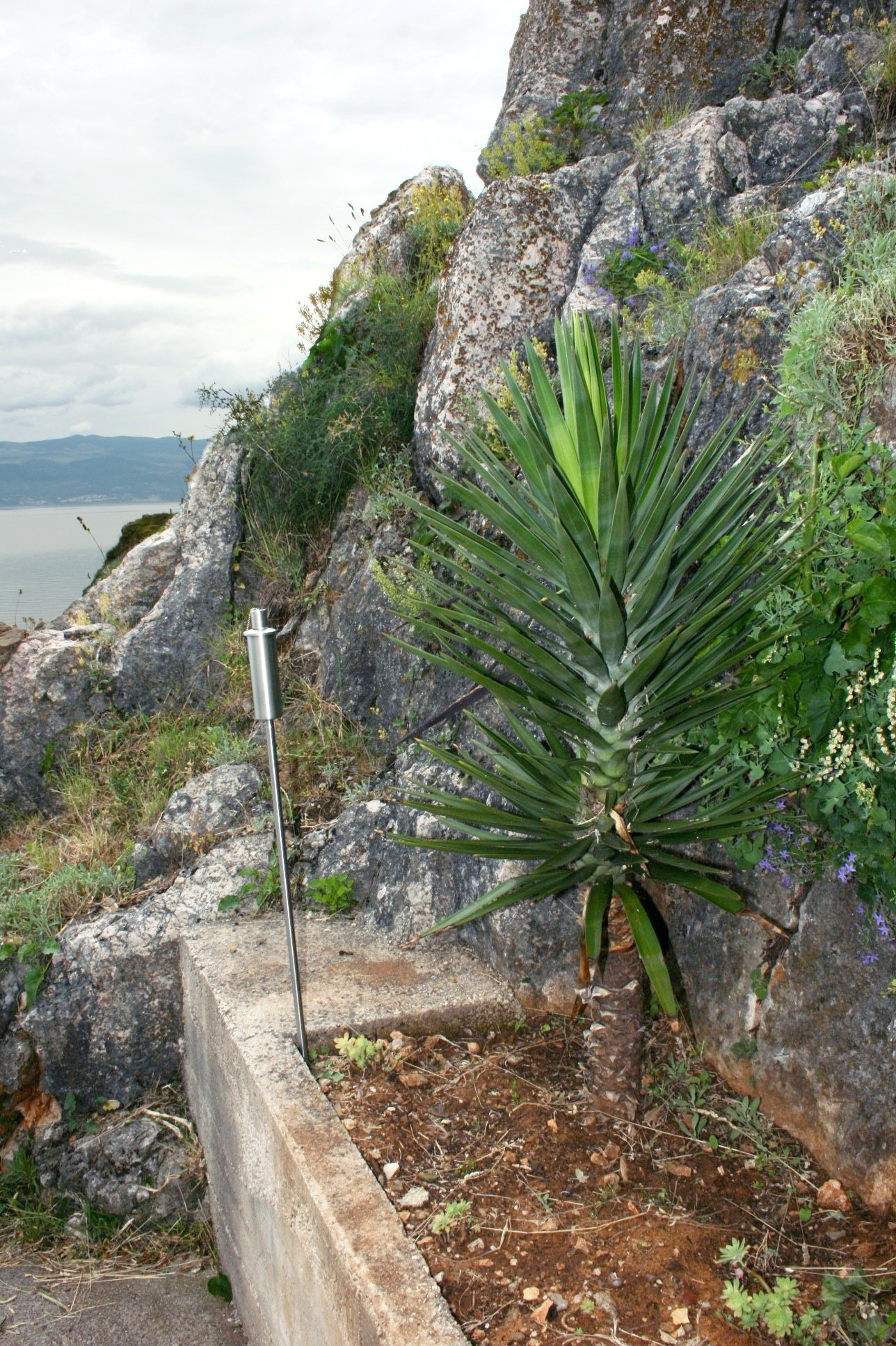 Dvosobna kuća s terasom i pogledom na more Vrbnik, Krk  K