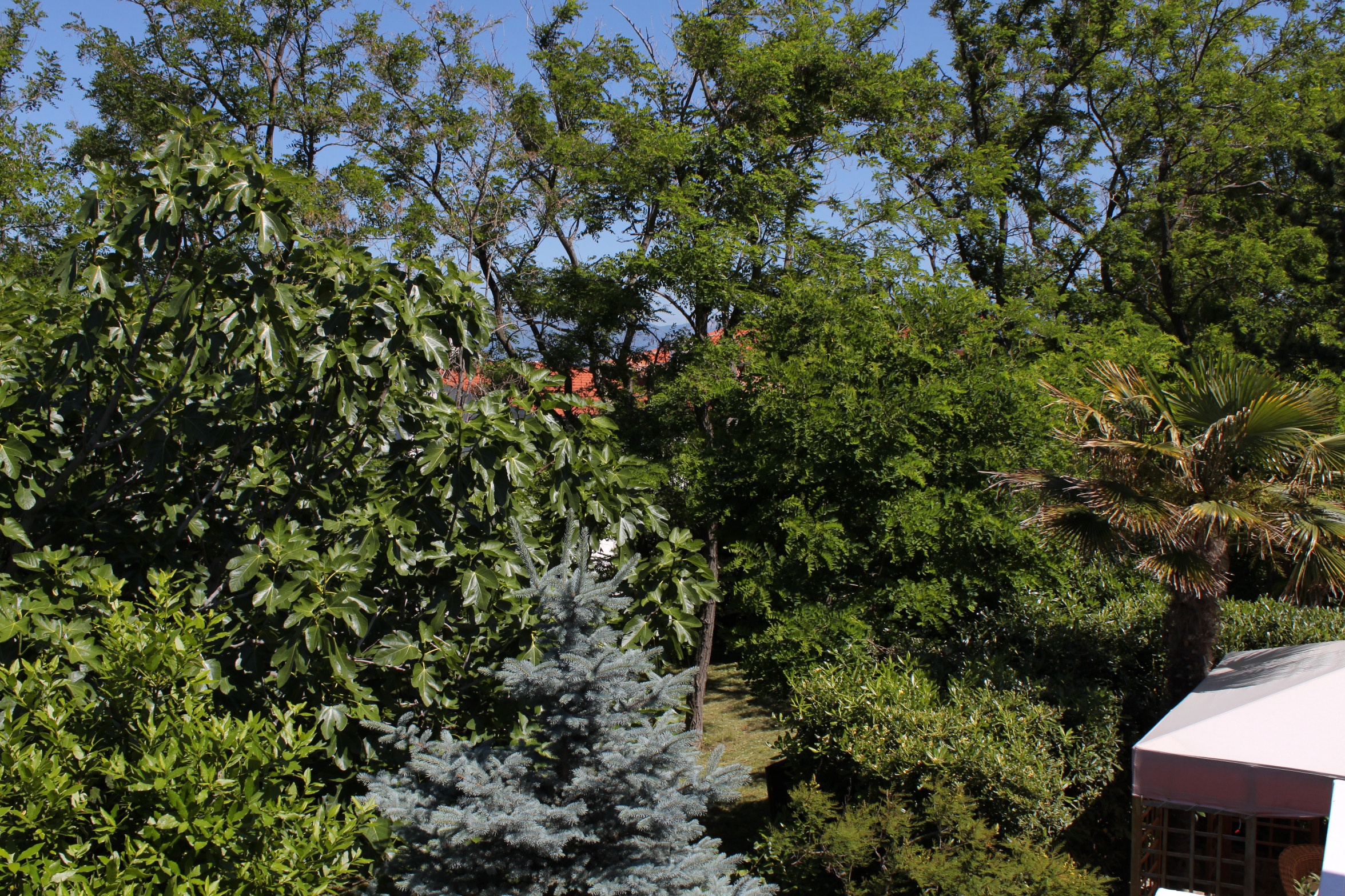 Two bedroom apartment with terrace and sea view Baška, Krk  A-a