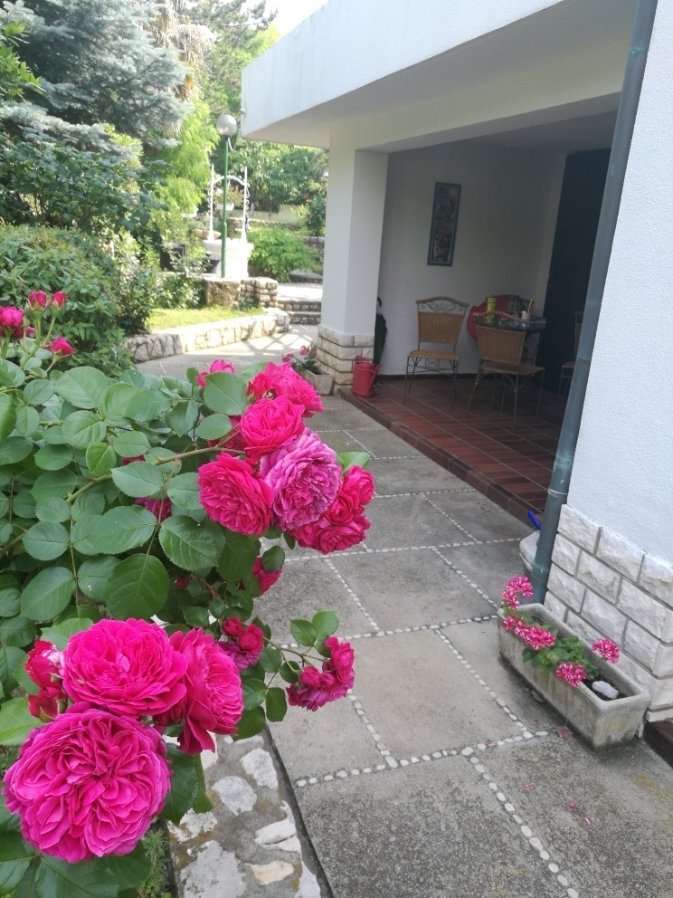 Top Krk Baška Top Krk Baška