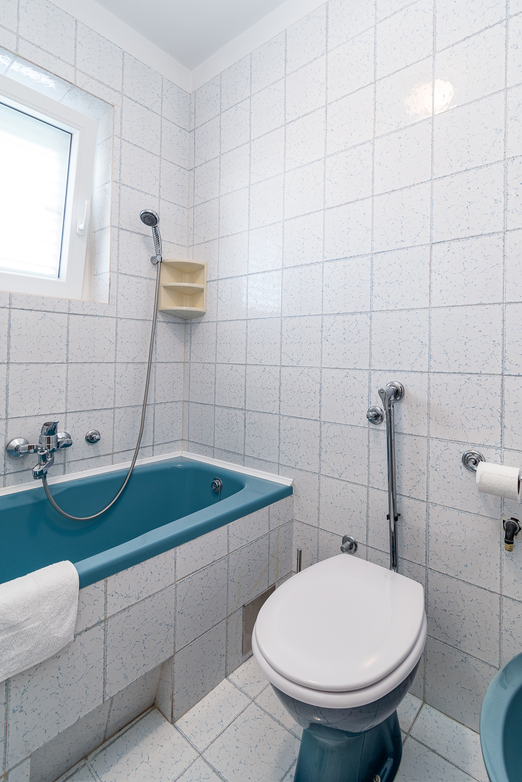 Three bedroom apartment with terrace and sea view Crikvenica  A-a