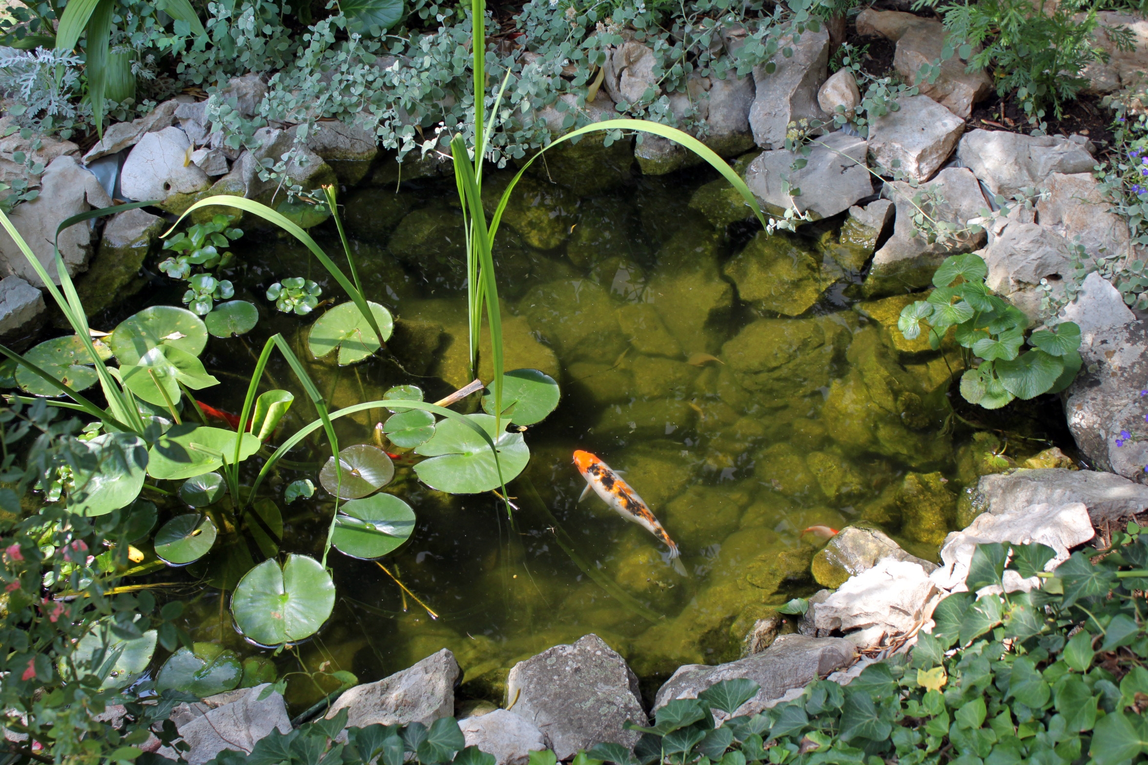 Top Crikvenica Dramalj Top Crikvenica Dramalj