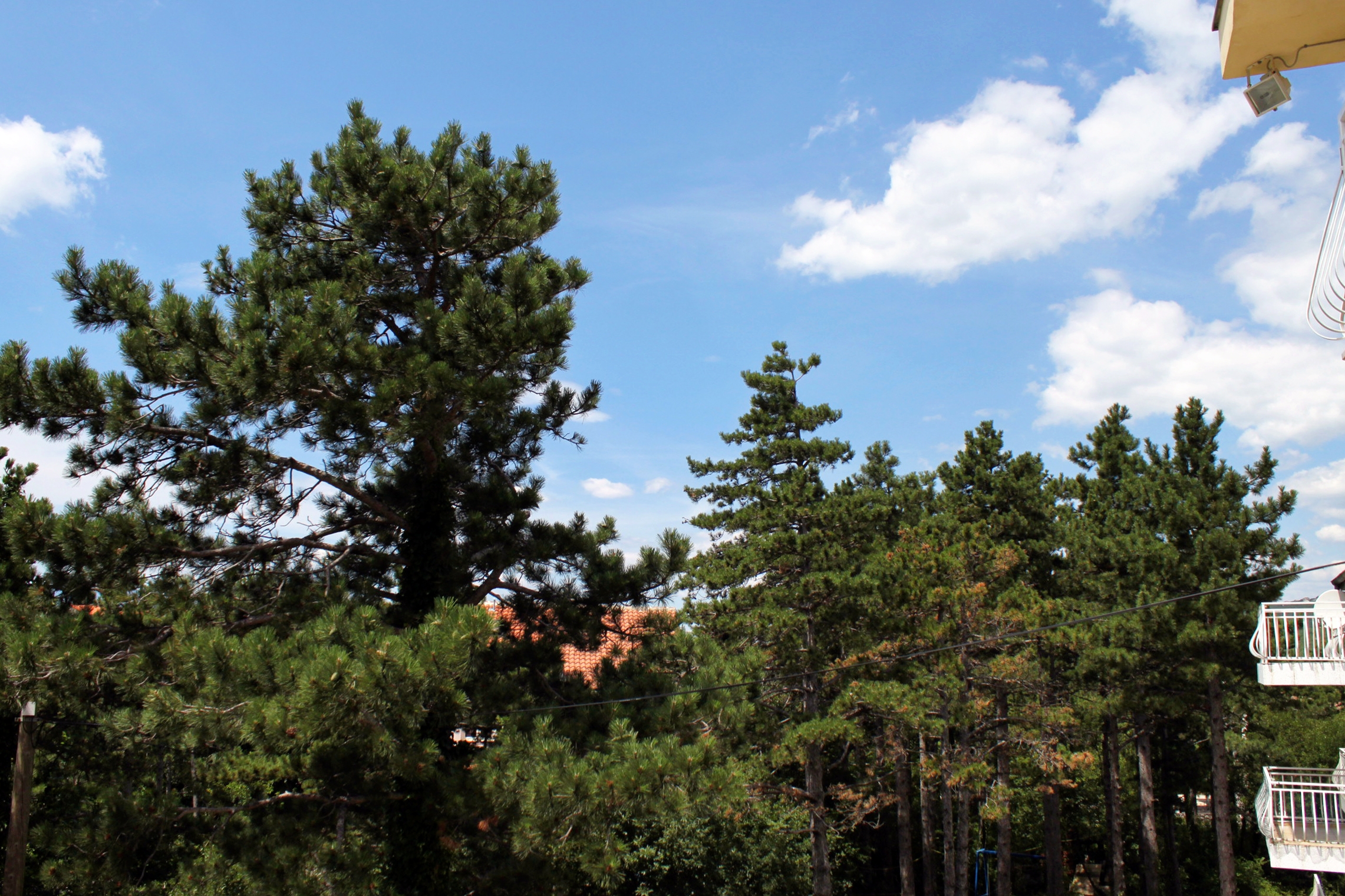 Top Crikvenica Jadranovo Top Crikvenica Jadranovo