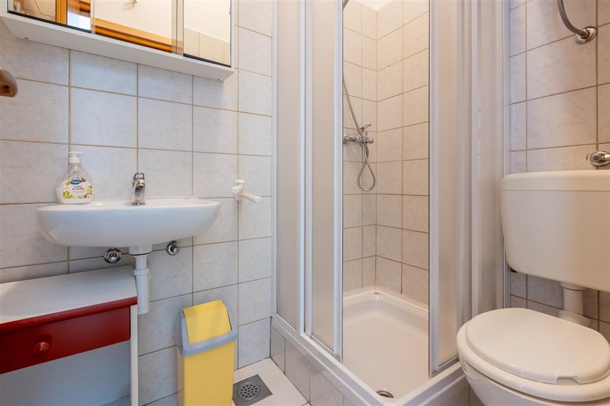 Comfortable and spacious house with terrace and sea view Novi Vinodolski  K