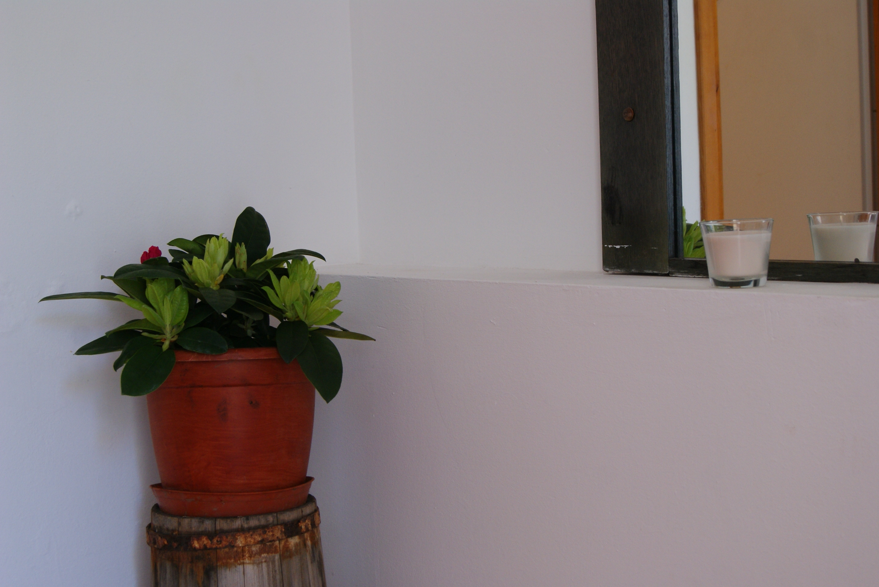 One bedroom apartment near beach Zavala, Hvar  A-f