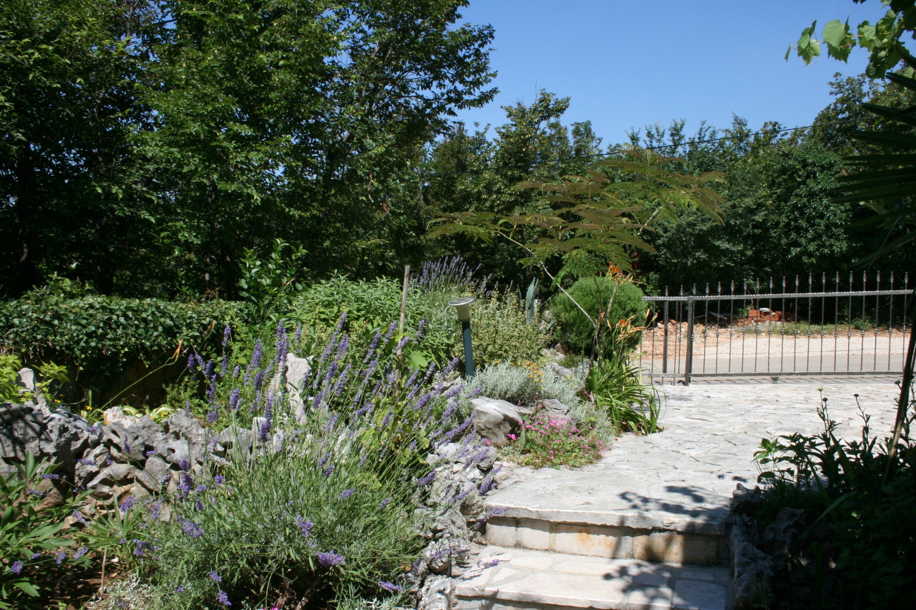 Top Crikvenica Jadranovo Top Crikvenica Jadranovo