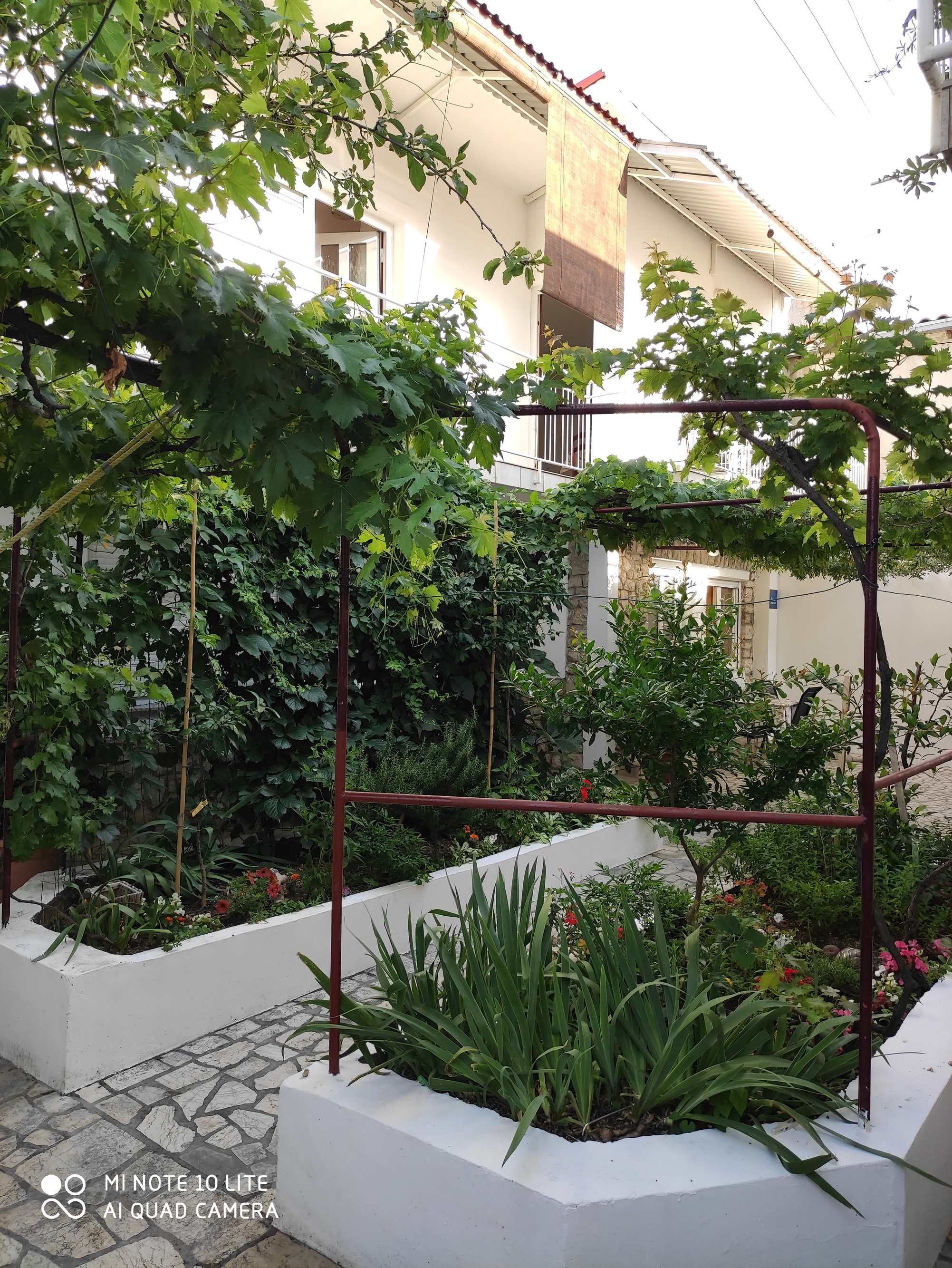Top Crikvenica Selce Top Crikvenica Selce