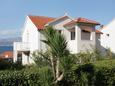 Appartamenti affitto Postira (Brač) - 5617