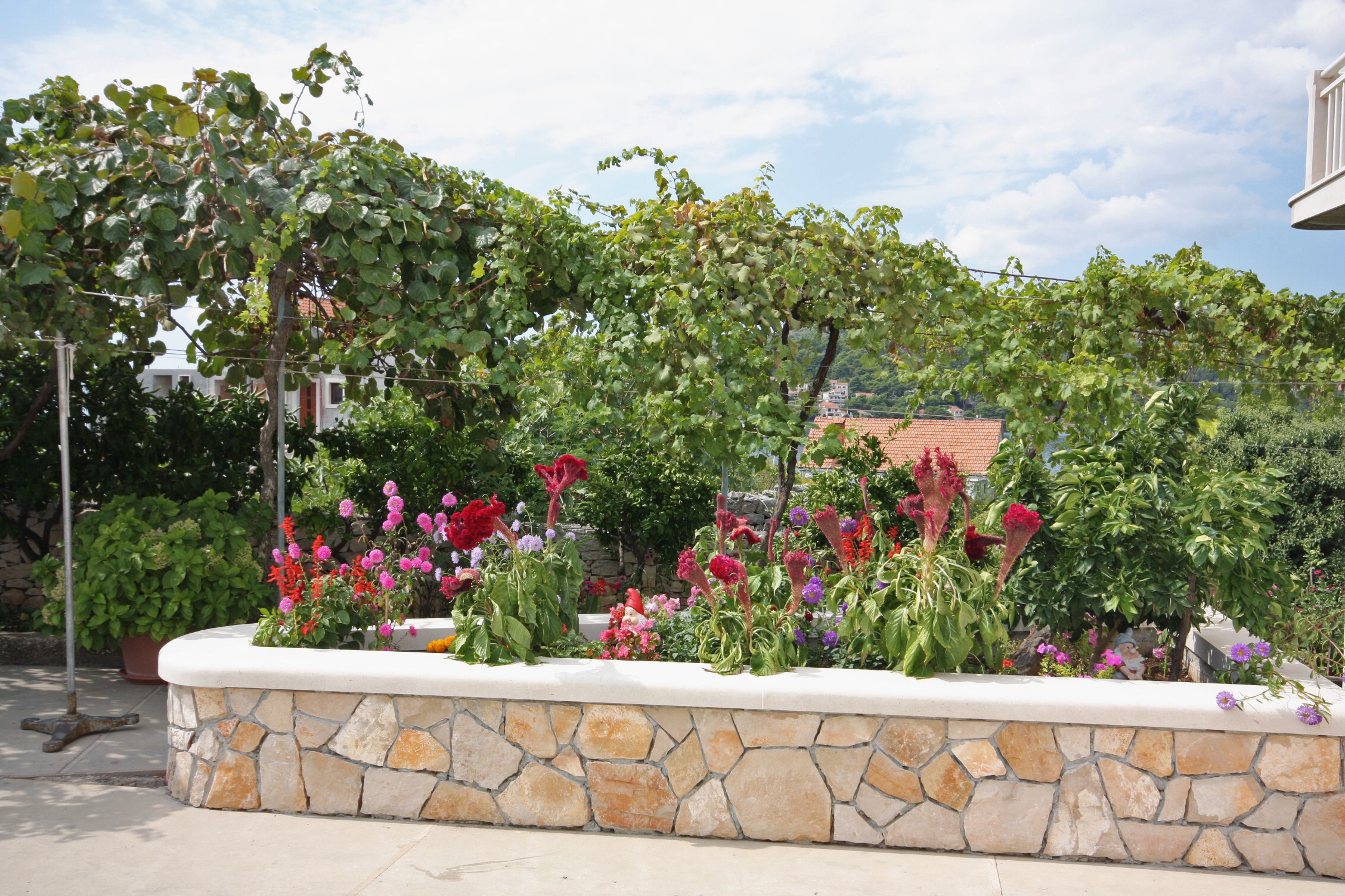 Top Brač Sumartin Top Brač Sumartin