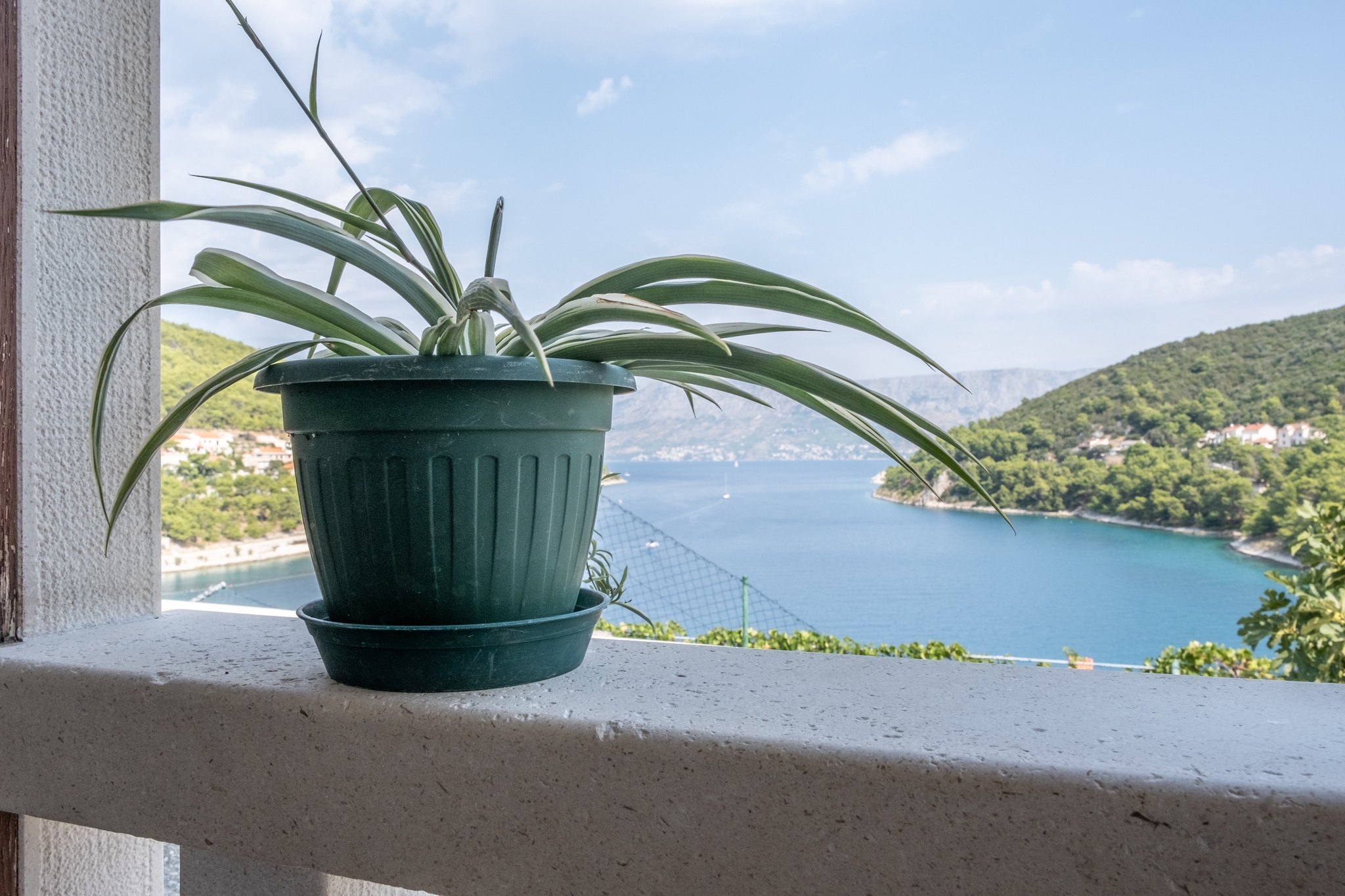 Studio flat with terrace and sea view Pučišća, Brač  AS-a