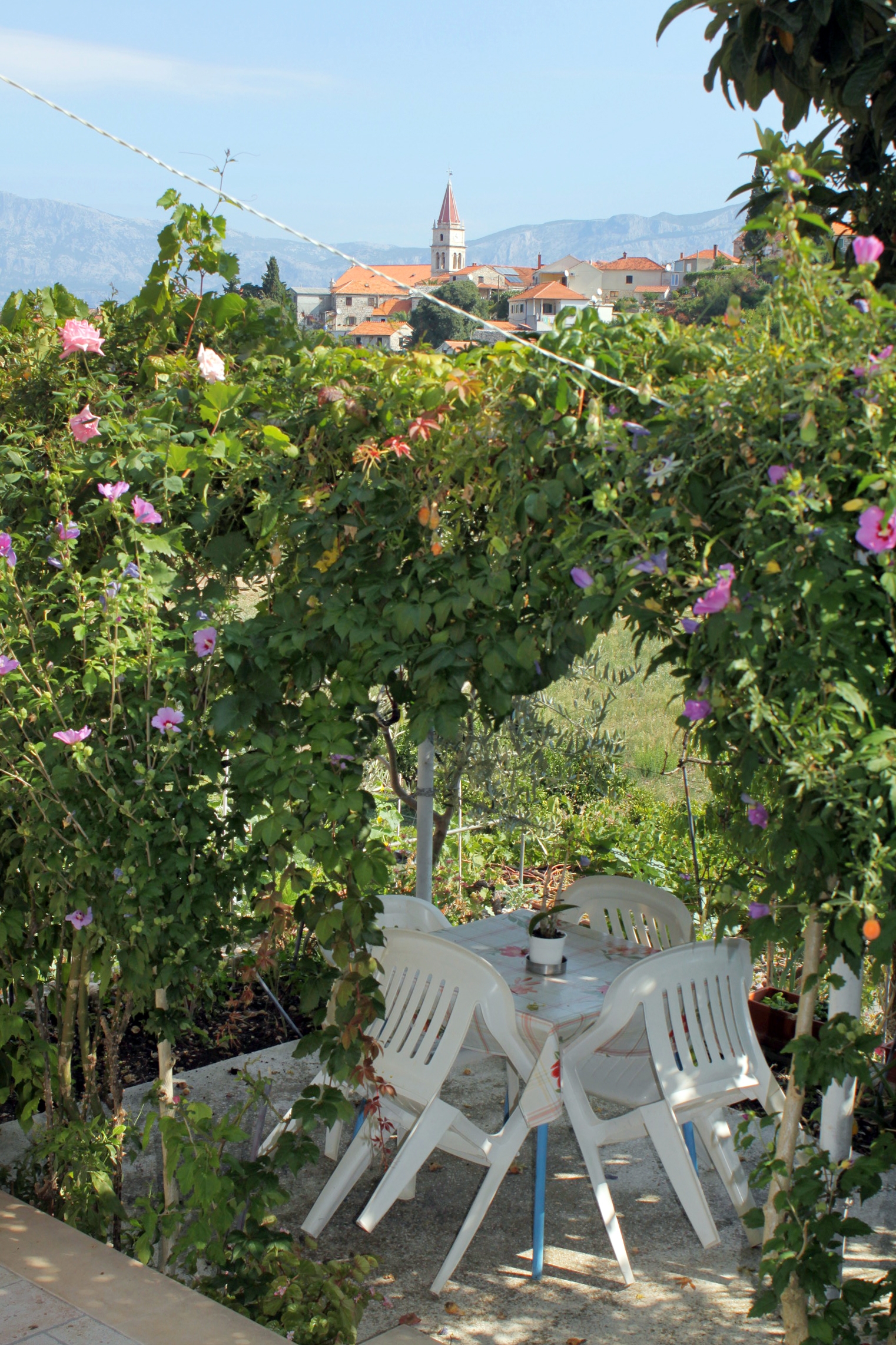 Top Brač Postira Top Brač Postira