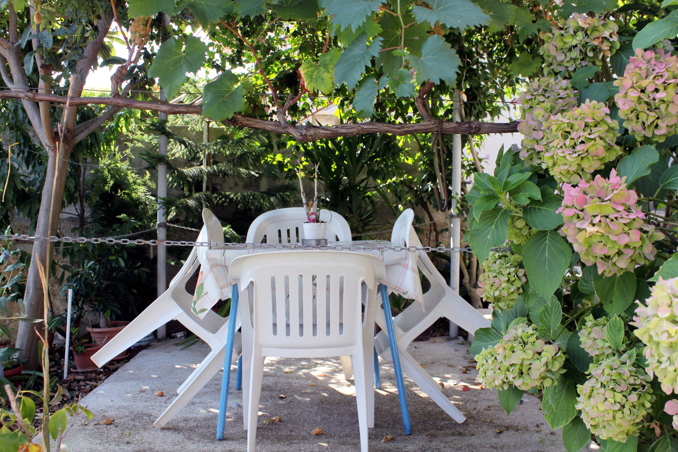 Top Brač Postira Top Brač Postira