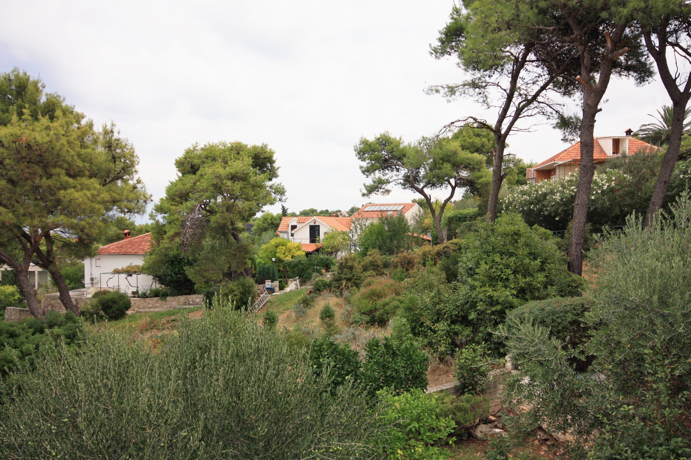 Three bedroom house with terrace and sea view Splitska, Brač  K
