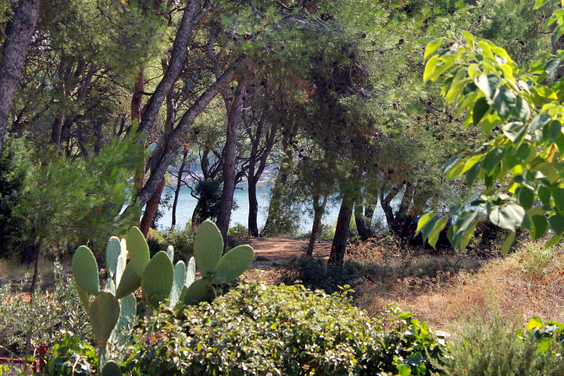 Two bedroom apartment with terrace and sea view Mudri Dolac, Hvar (A-5694-a)