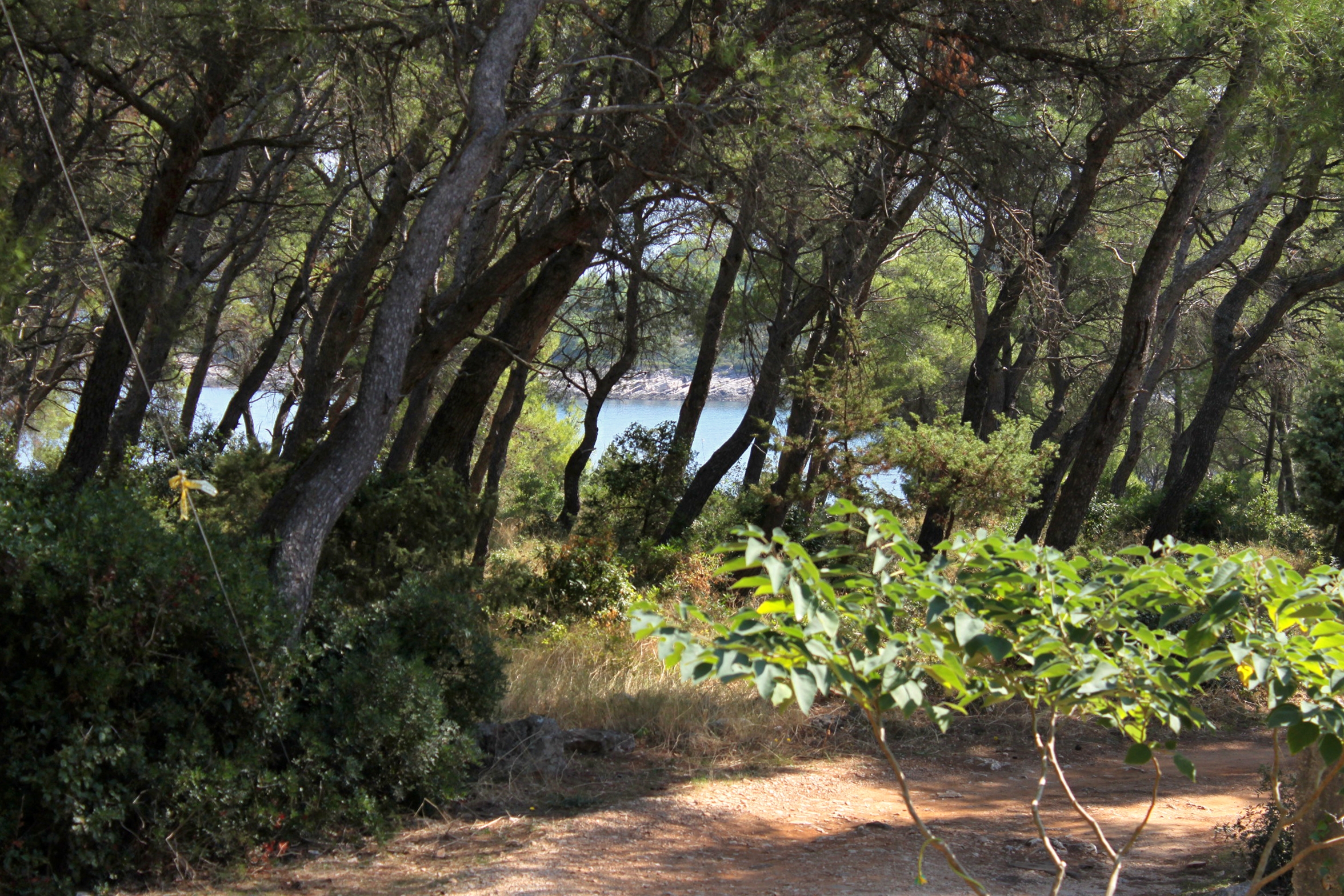 Two bedroom apartment with terrace and sea view Mudri Dolac, Hvar  A-a