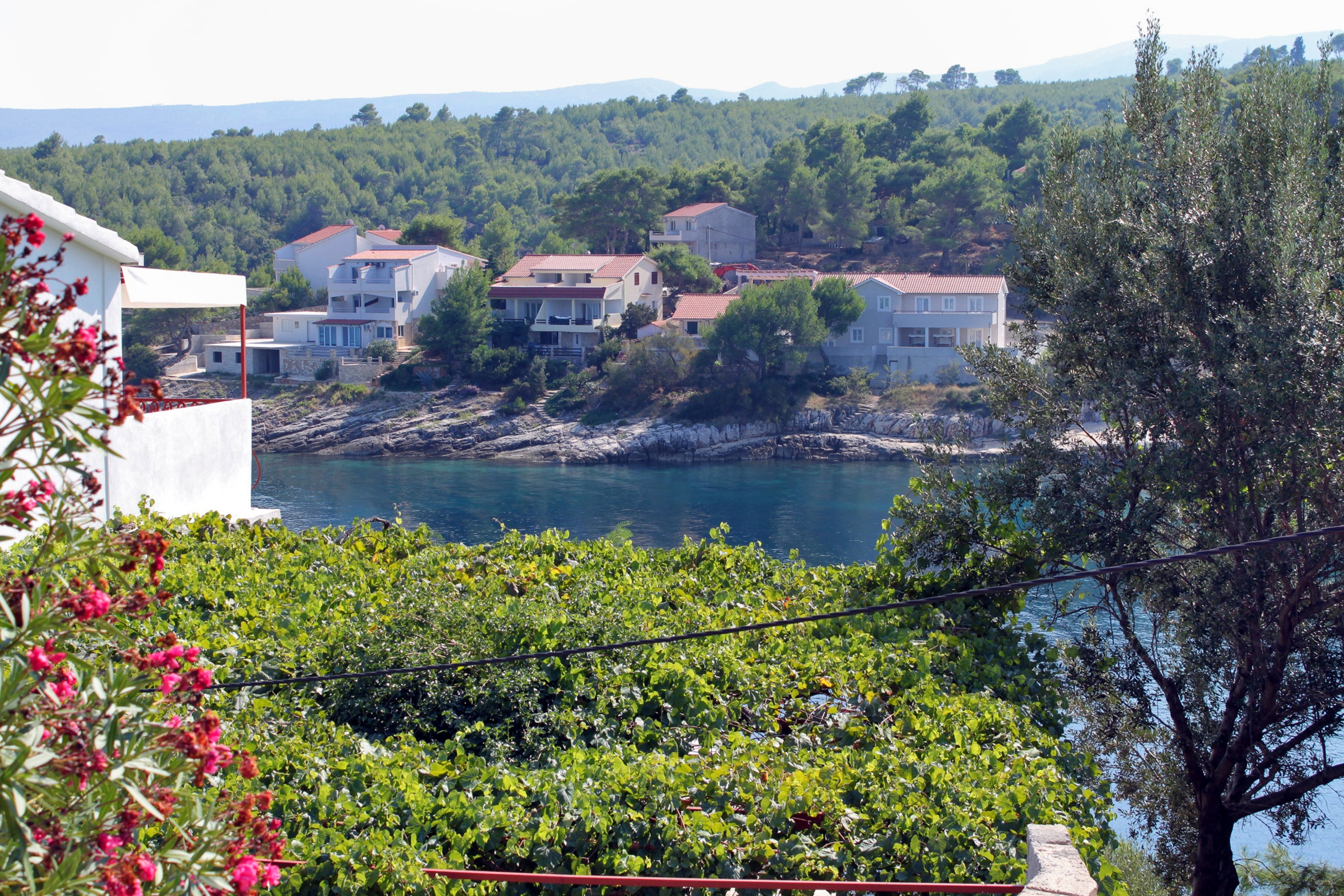 Three bedroom apartment near beach Basina, Hvar  A-a