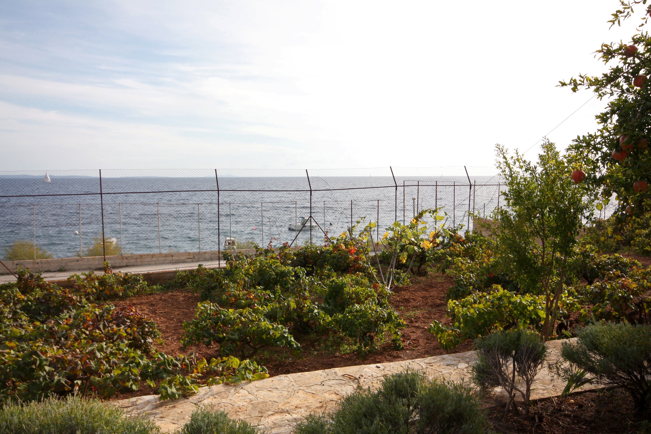 Two bedroom apartment near beach Ivan Dolac, Hvar  A-a