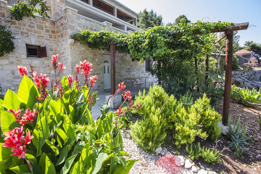 Top Hvar Skozanje Top Hvar Skozanje