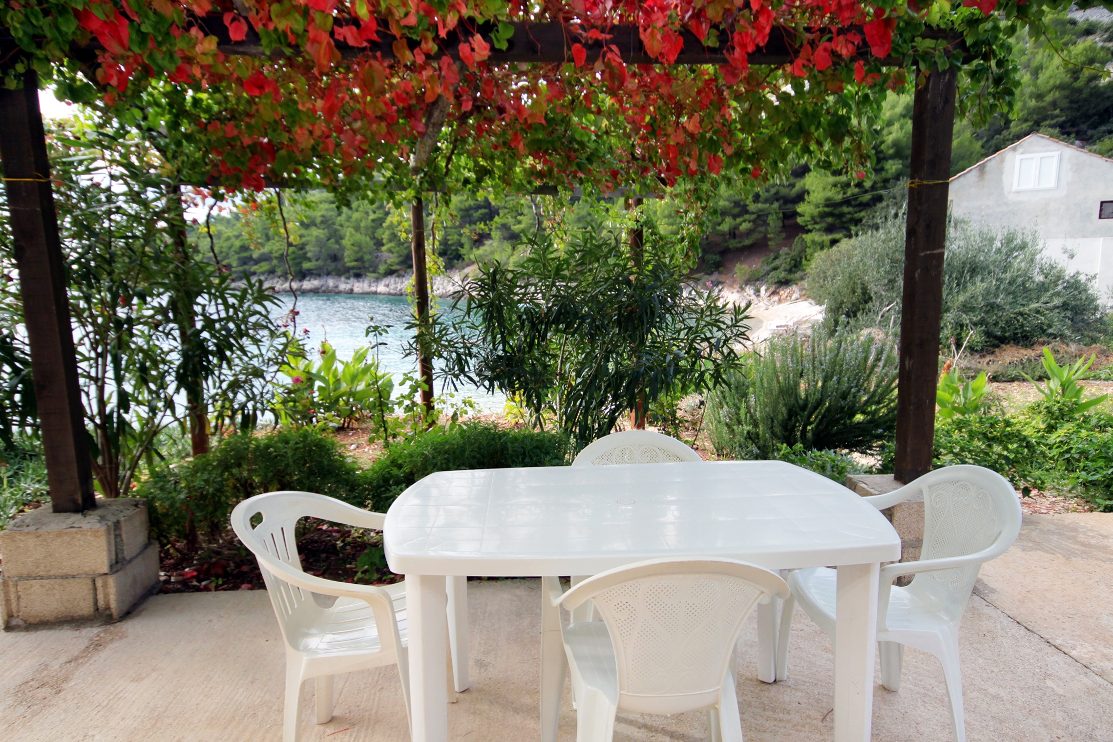 Top Hvar Skozanje Top Hvar Skozanje