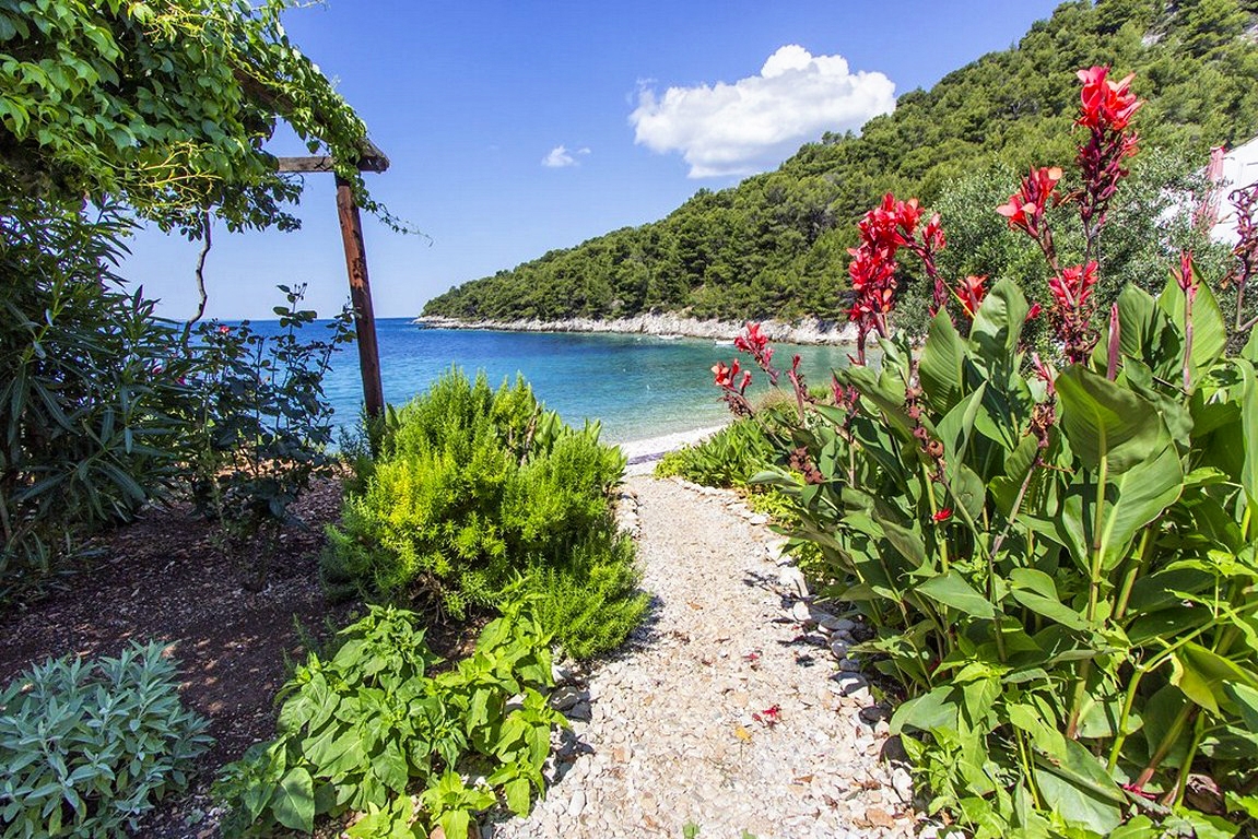 One bedroom apartment near beach Cove Skozanje, Hvar  A-b