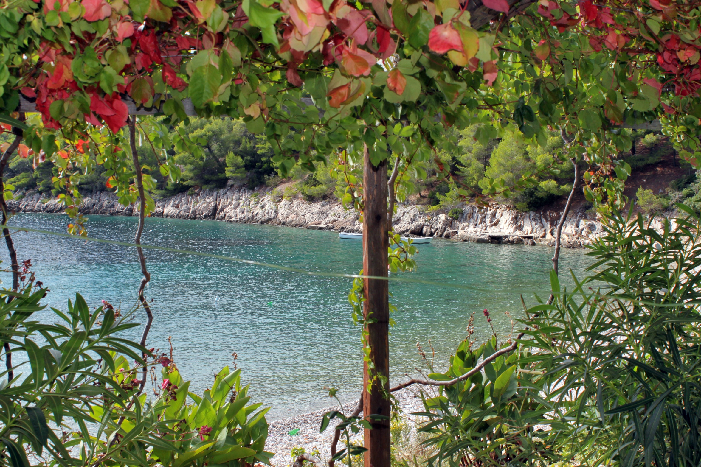 One bedroom apartment near beach Cove Skozanje, Hvar  A-b