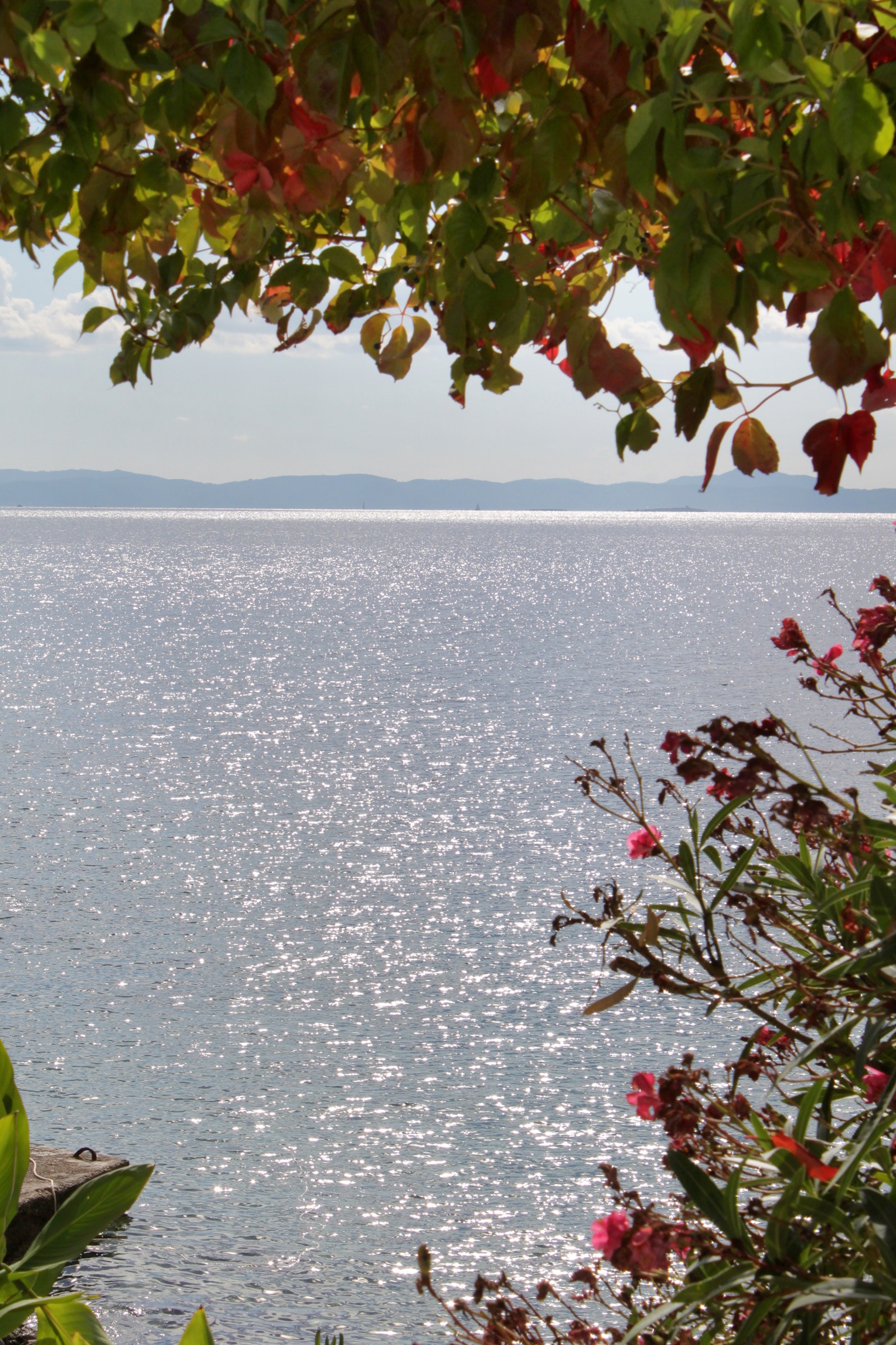 One bedroom apartment near beach Cove Skozanje, Hvar  A-b