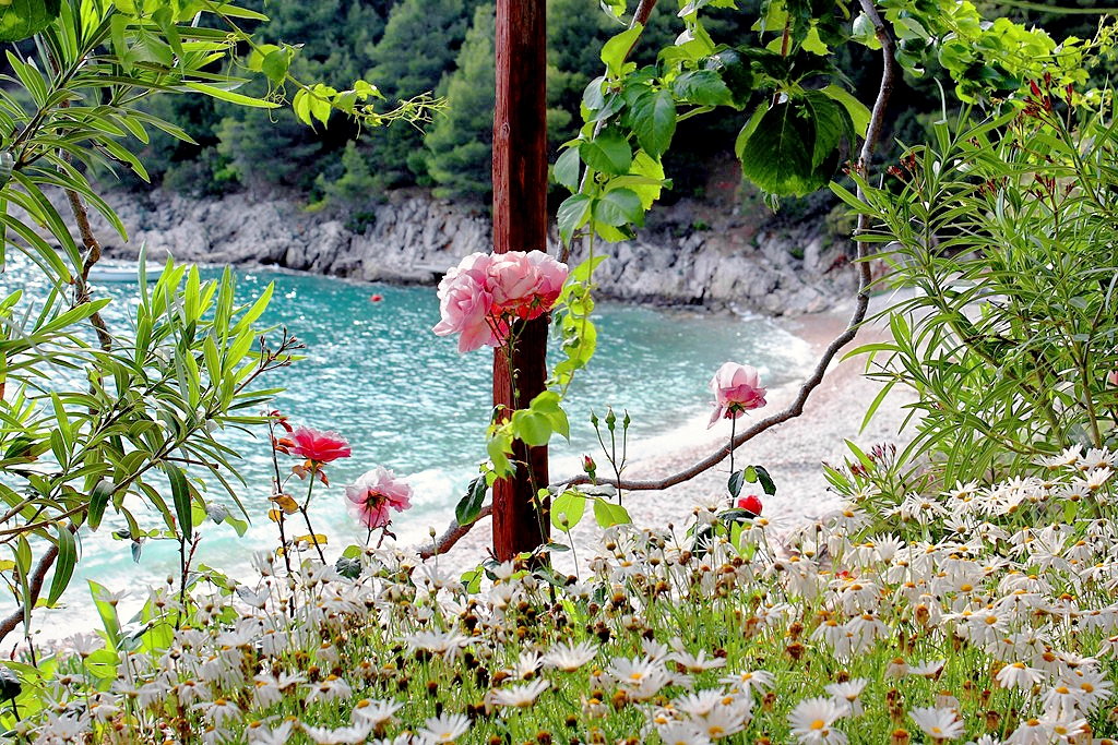 Top Hvar Skozanje Top Hvar Skozanje