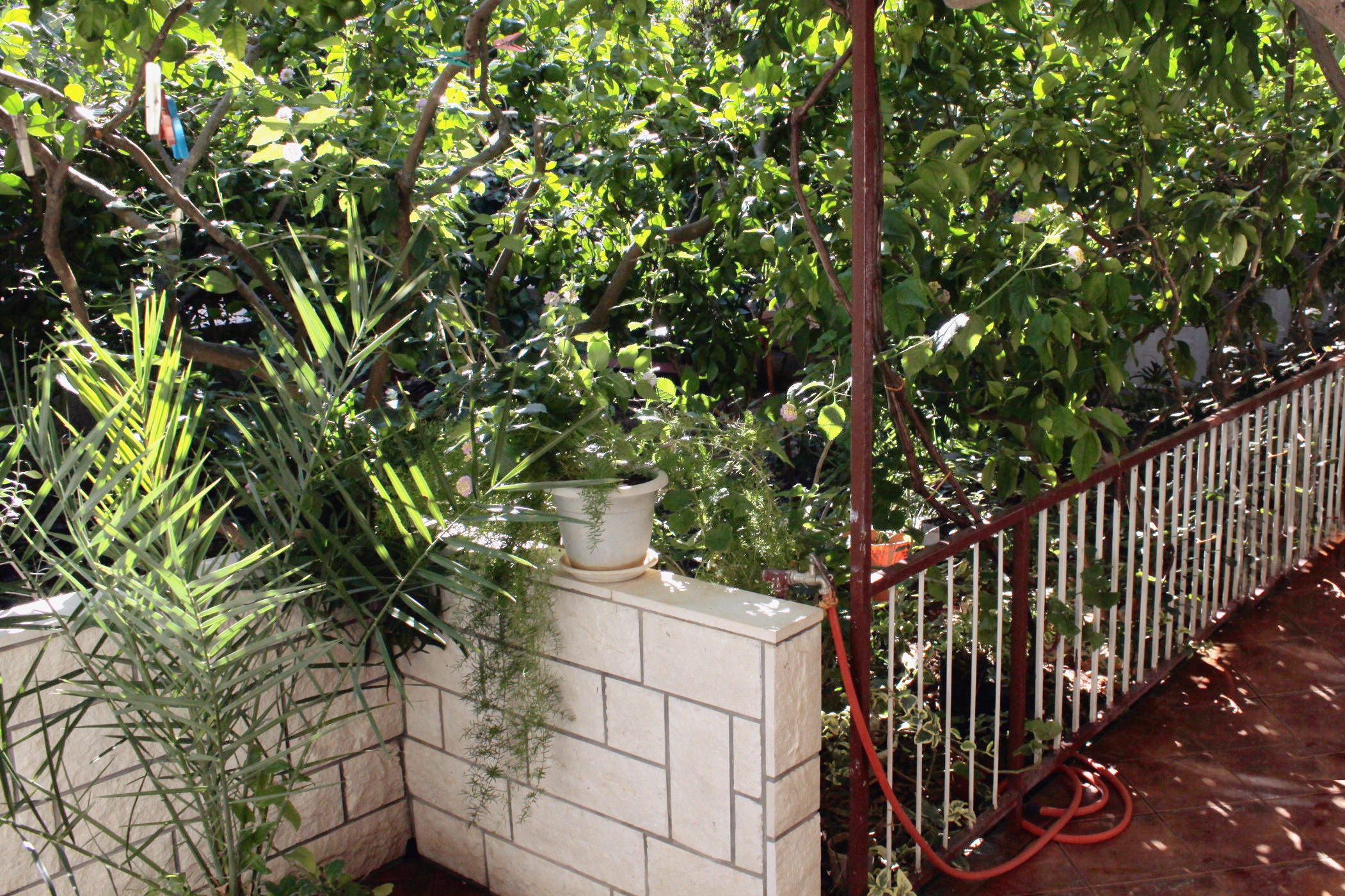 Top Hvar Stari Grad Top Hvar Stari Grad