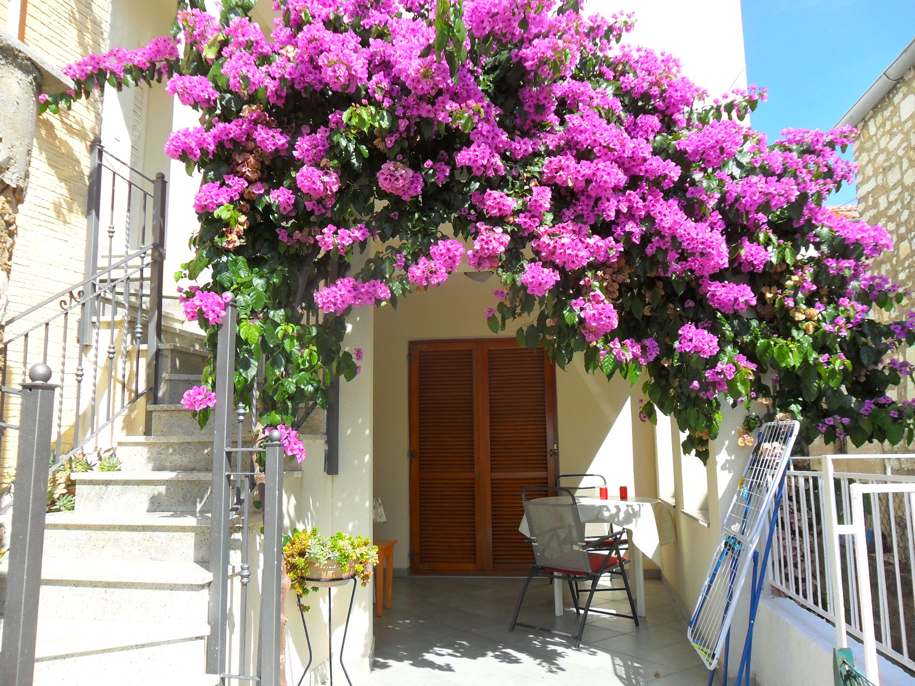 One bedroom apartment with terrace and sea view Zadar - Diklo, Zadar (A-5767-a) One bedroom apartment with terrace and sea view Zadar - Diklo, Zadar (A-5767-a)