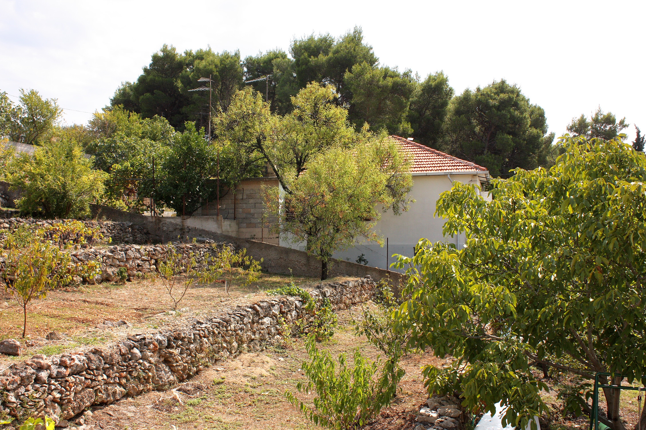 Three bedroom apartment near beach Sumartin, Brač  A-a